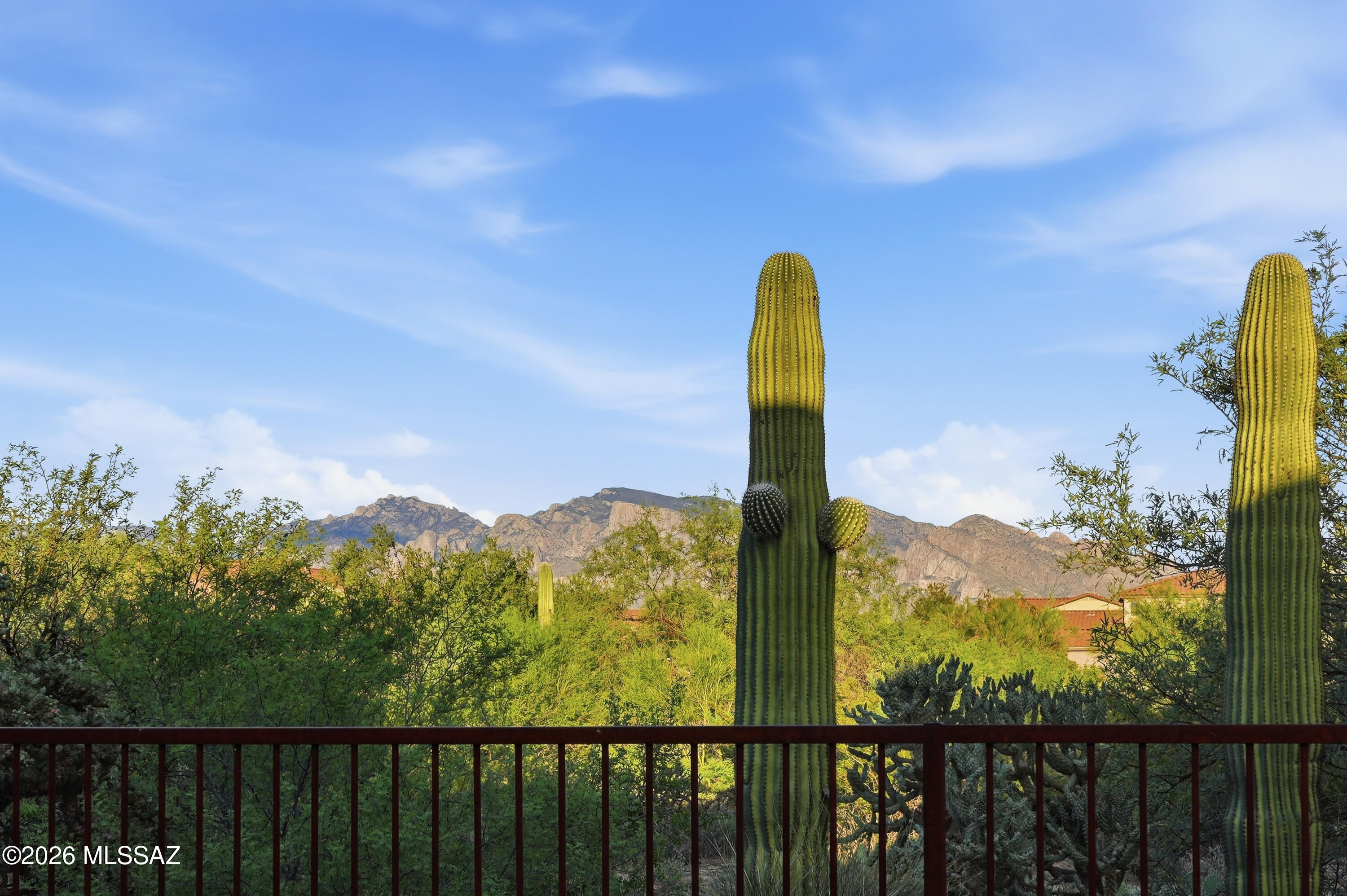 Welcome to pristine desert living in the premier gated community of Sky Ranch! This immaculate 3-bedroom, 2-bathroom home offers standard-setting pride of ownership and privacy. Situated on a prime lot backing directly to a protected natural preserve, your backyard is a front-row seat to local wildlife and endless Sonoran Desert serenity. Enjoy your morning coffee or evening relaxation under spectacular sunrise and sunset skies. Impeccably maintained and move-in ready, this home seamlessly combines comfort, security, and natural beauty. Don't miss this Sonoran Desert gem!