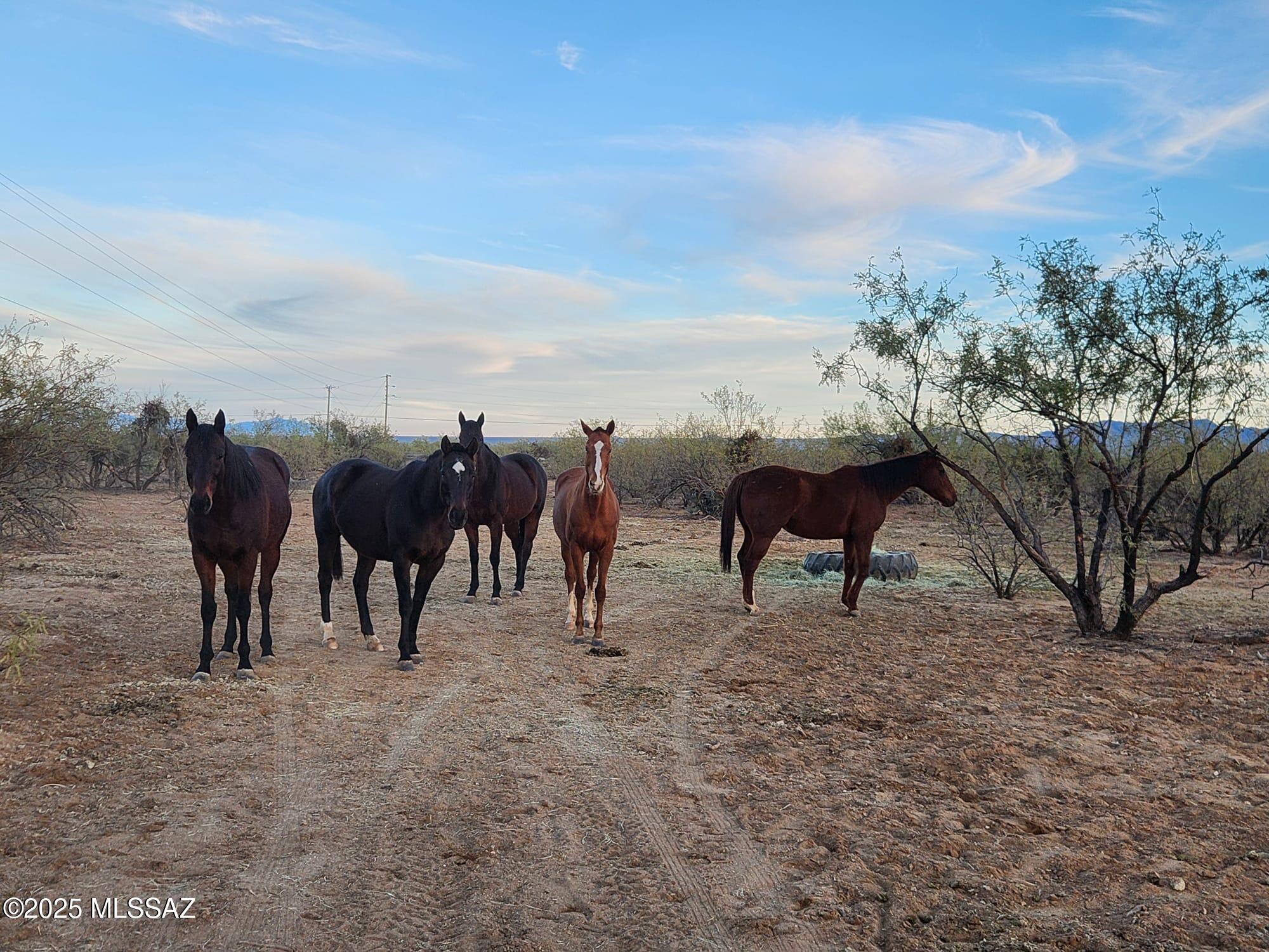 Hayhook Ranch - Residential