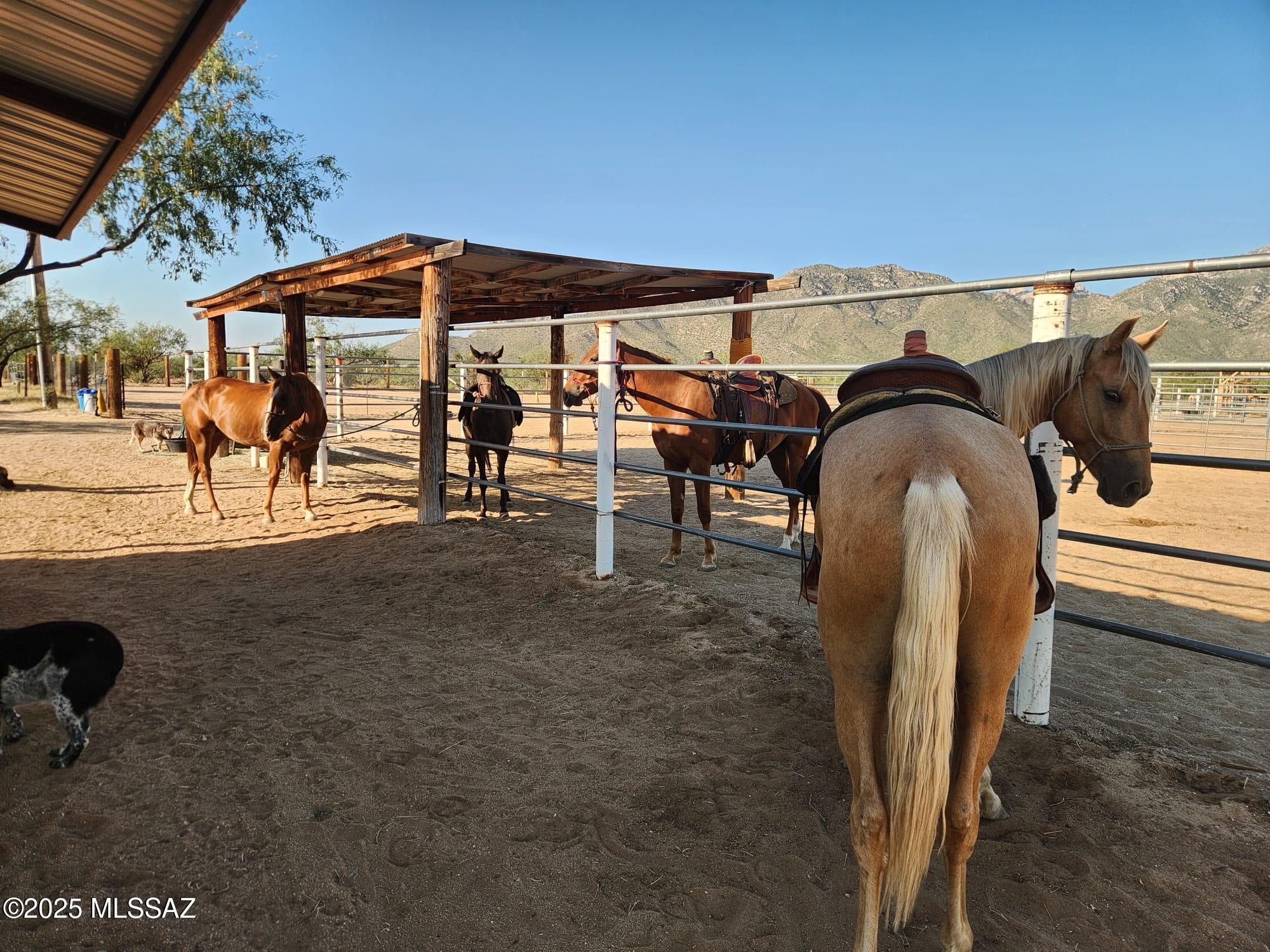 Hayhook Ranch - Residential