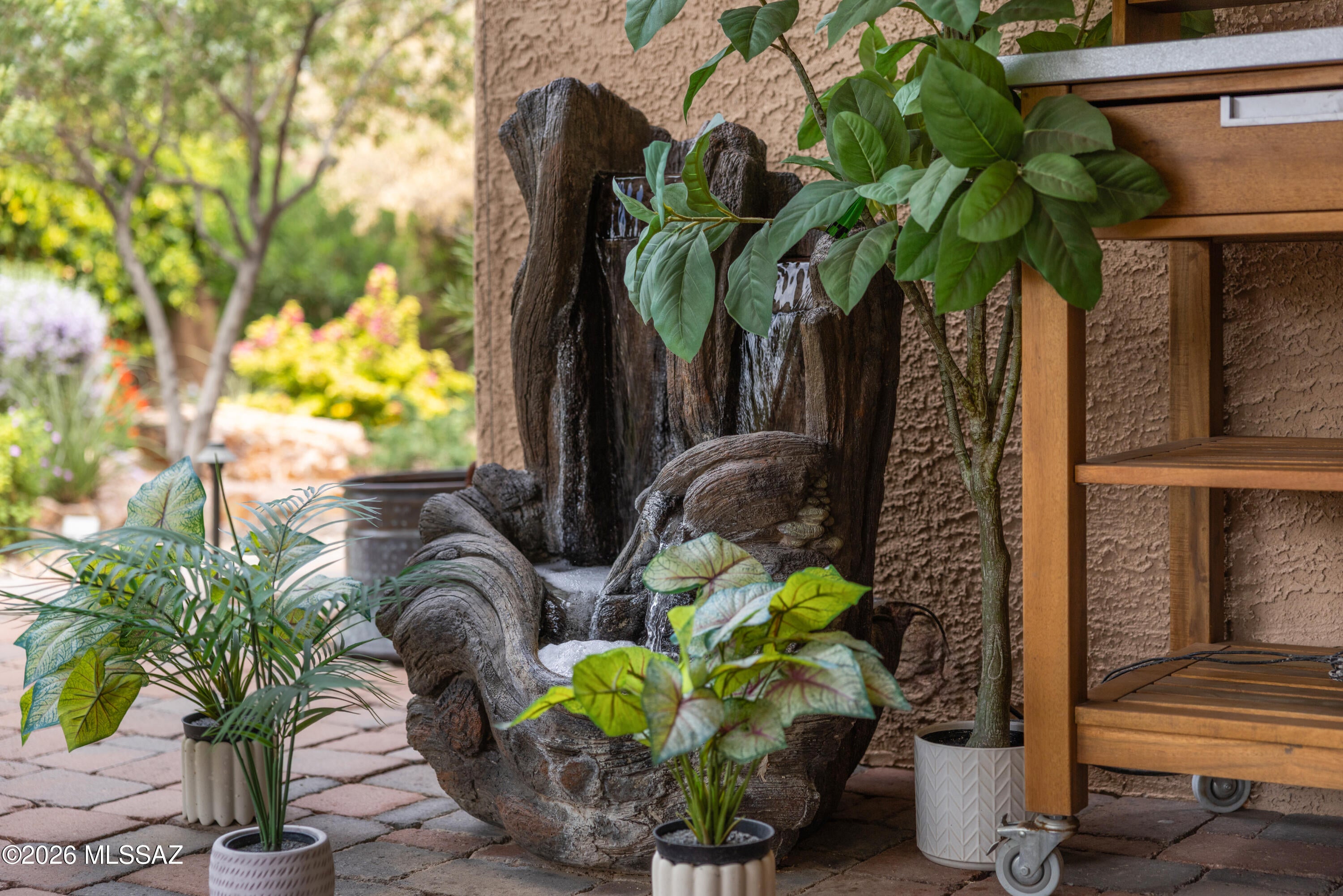 Saguaro Springs - Residential