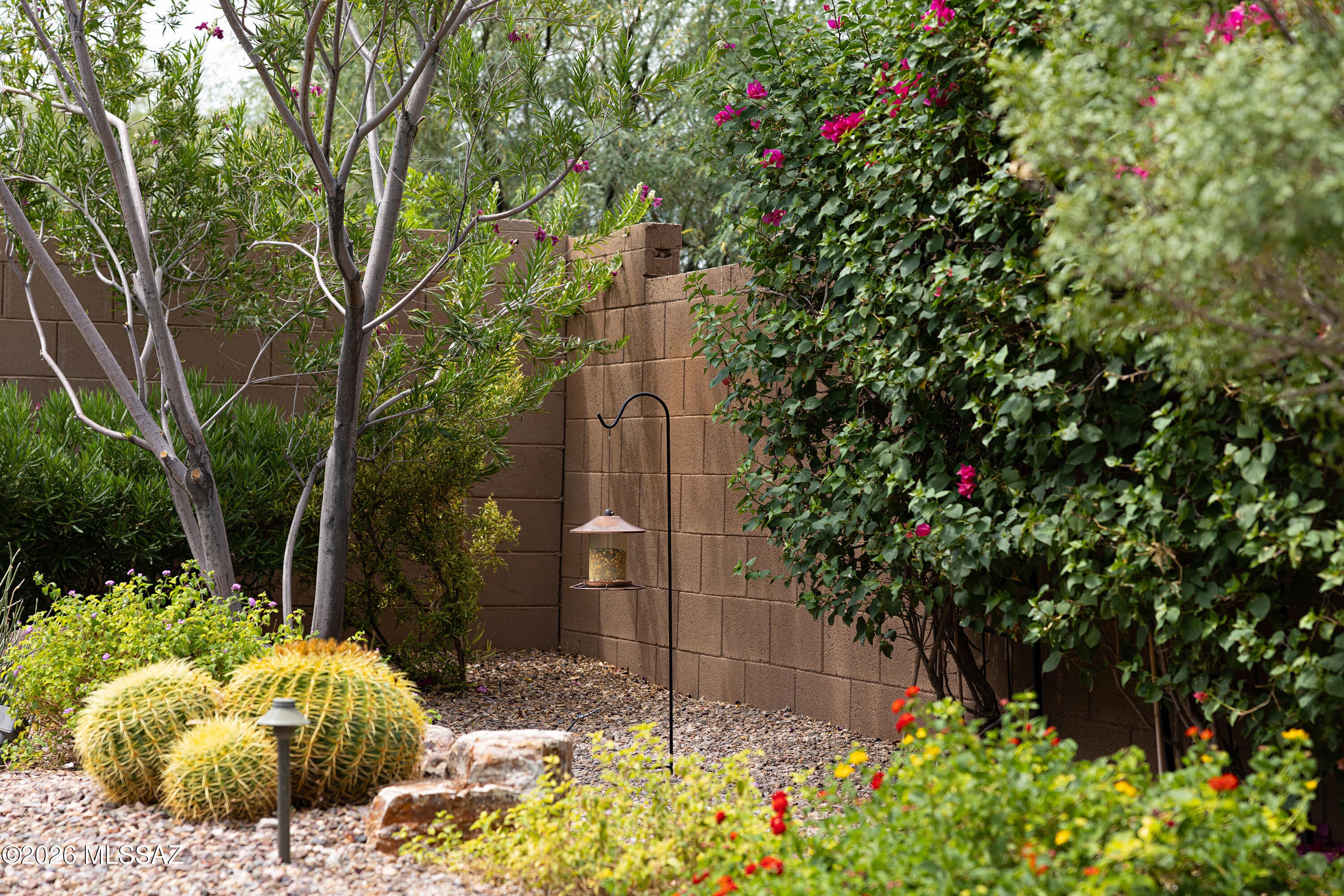 Saguaro Springs - Residential