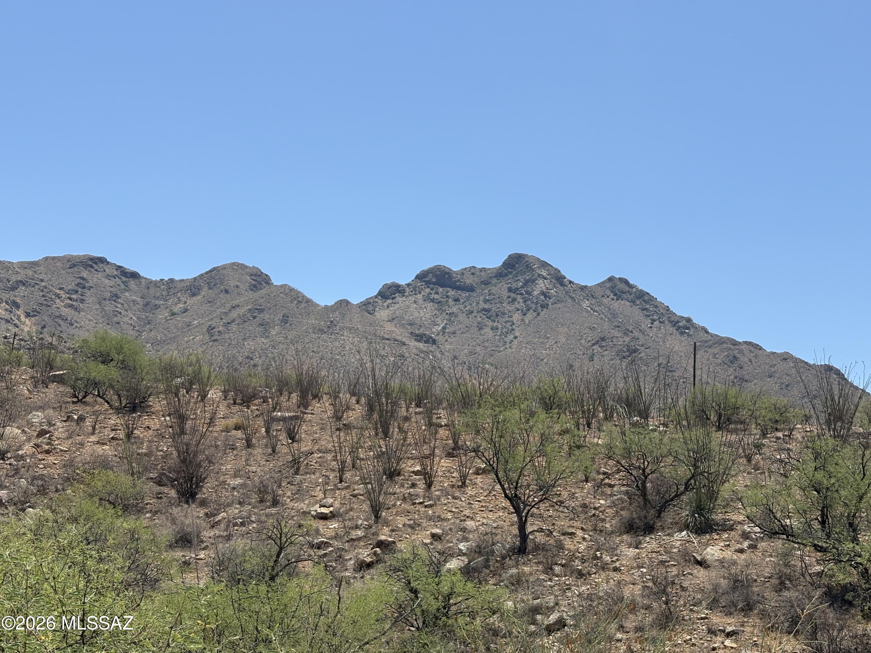 Rio Rico Ranchettes - Land