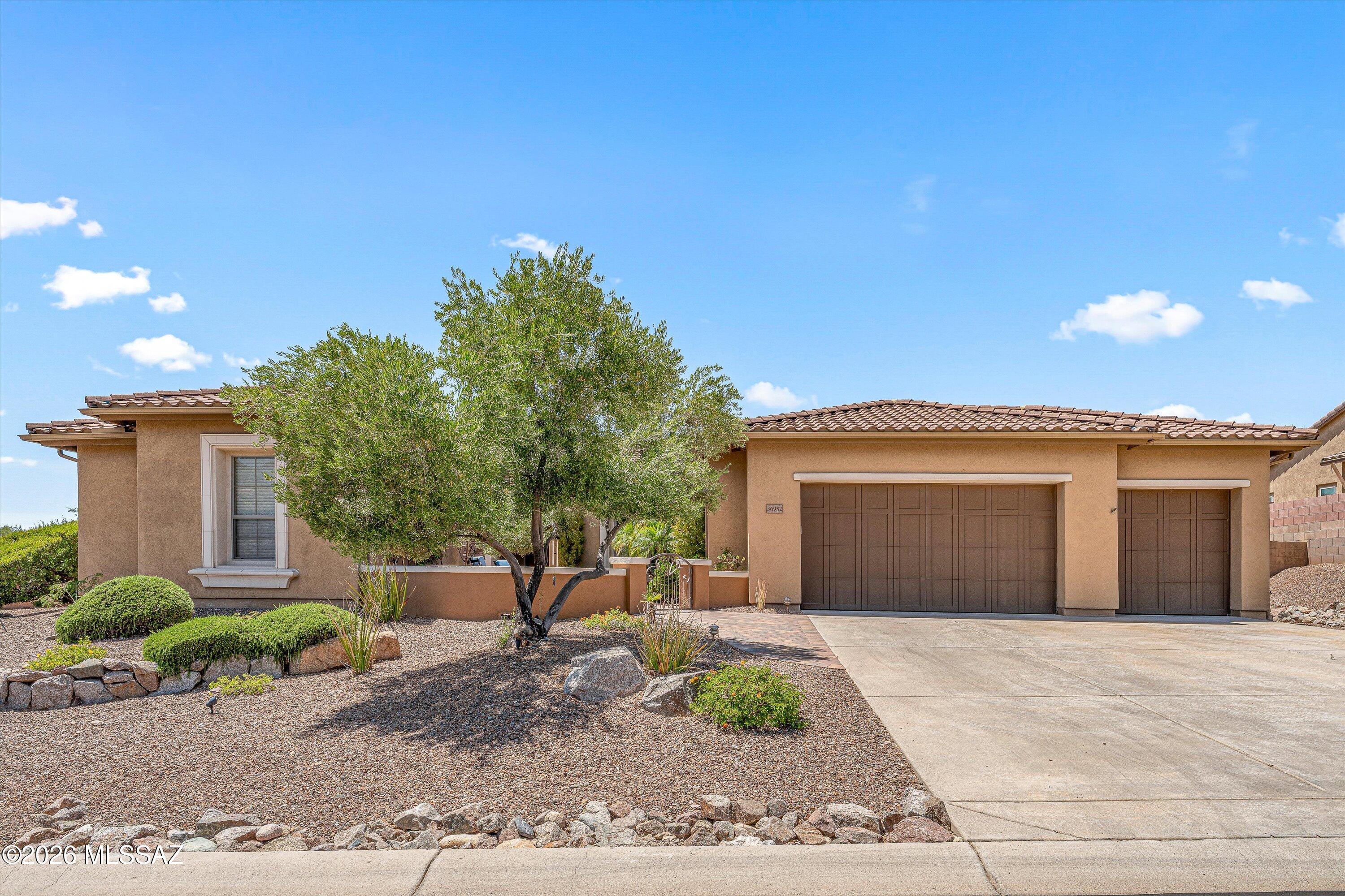 Saddlebrooke - Residential