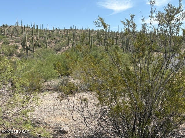 Enclave at Gates Pass - Land