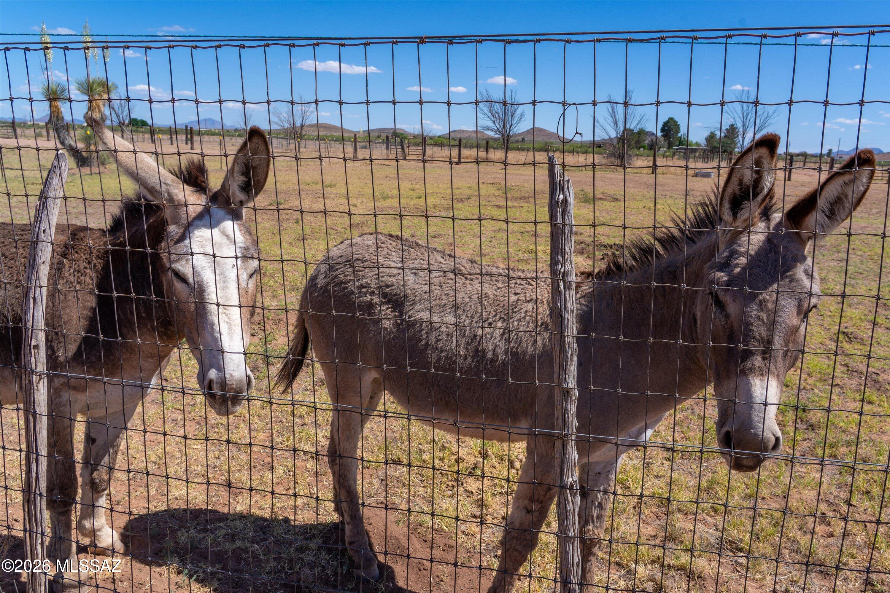 Deerhaven Ranches - Residential