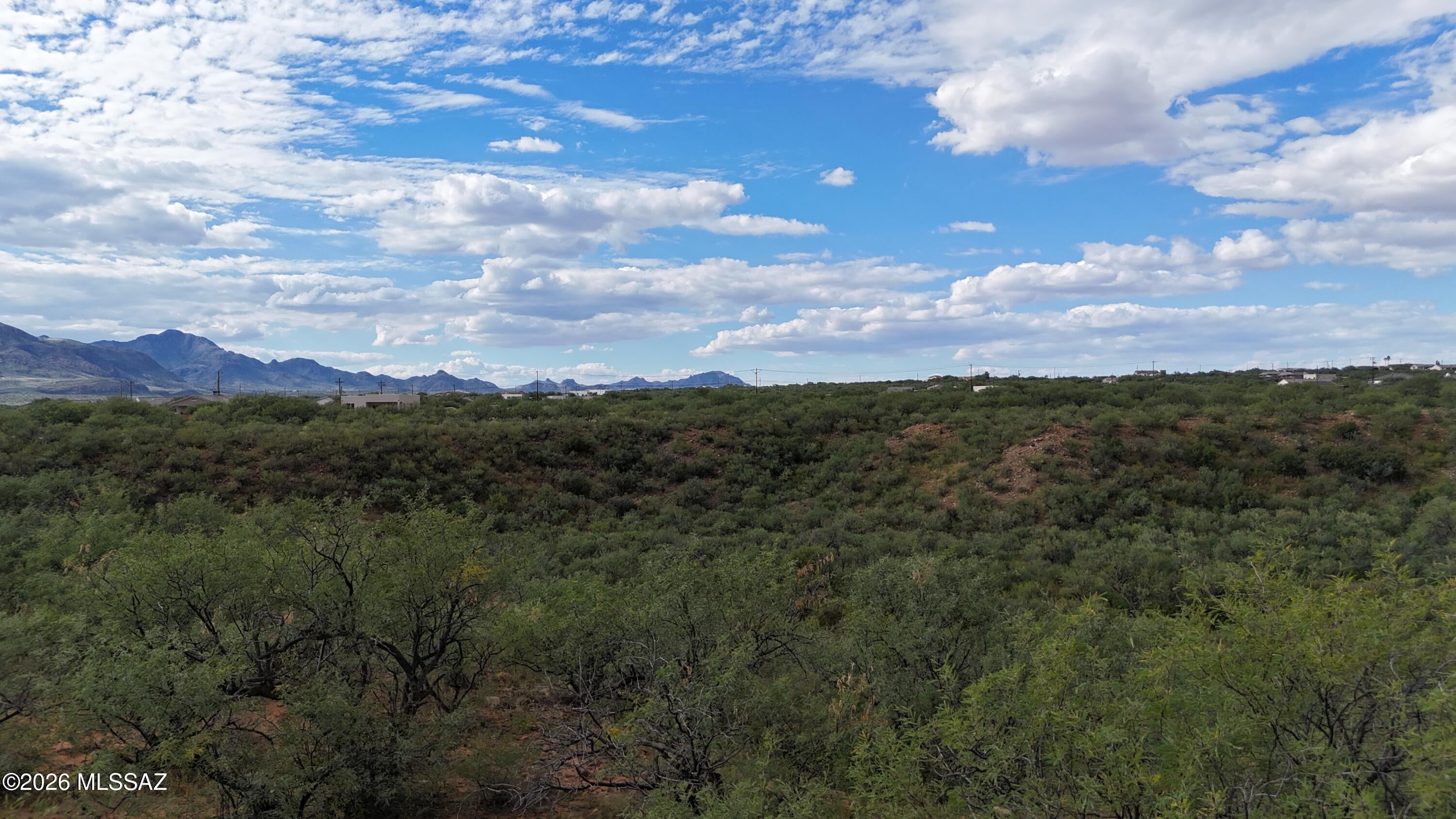 Rio Rico Estates 16 - Land