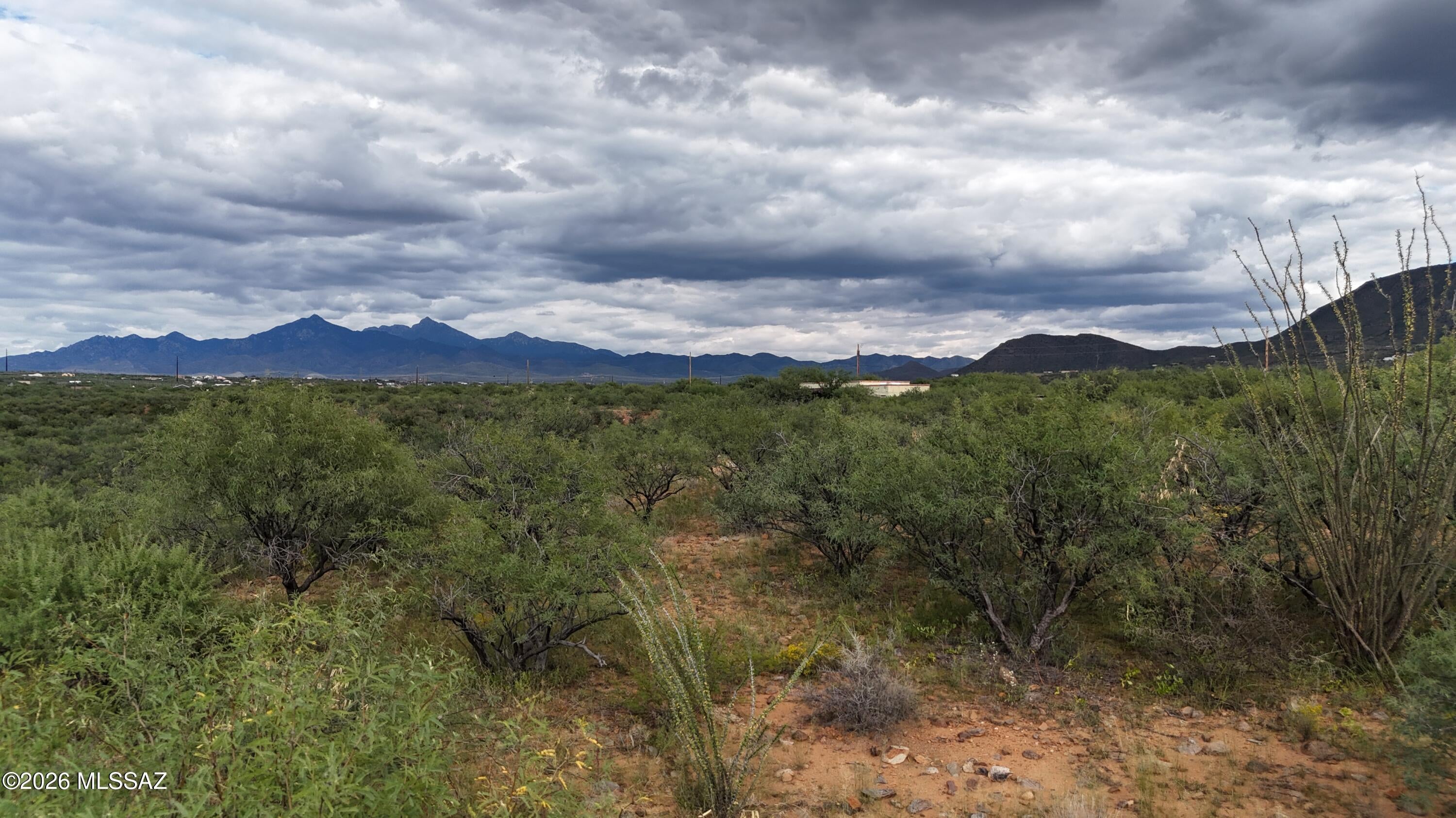 Rio Rico Estates 16 - Land