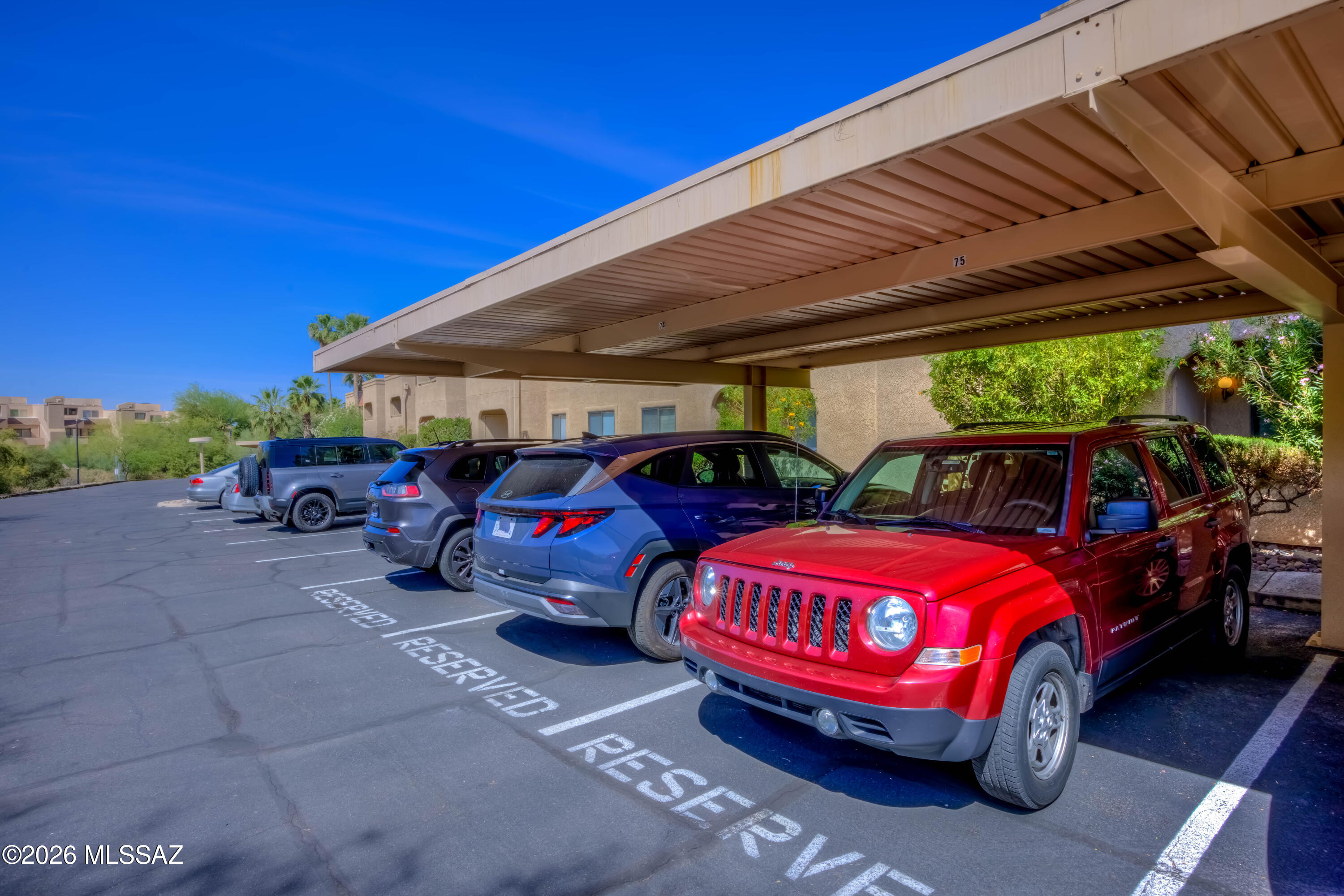 Skyline Springs Condos - Residential
