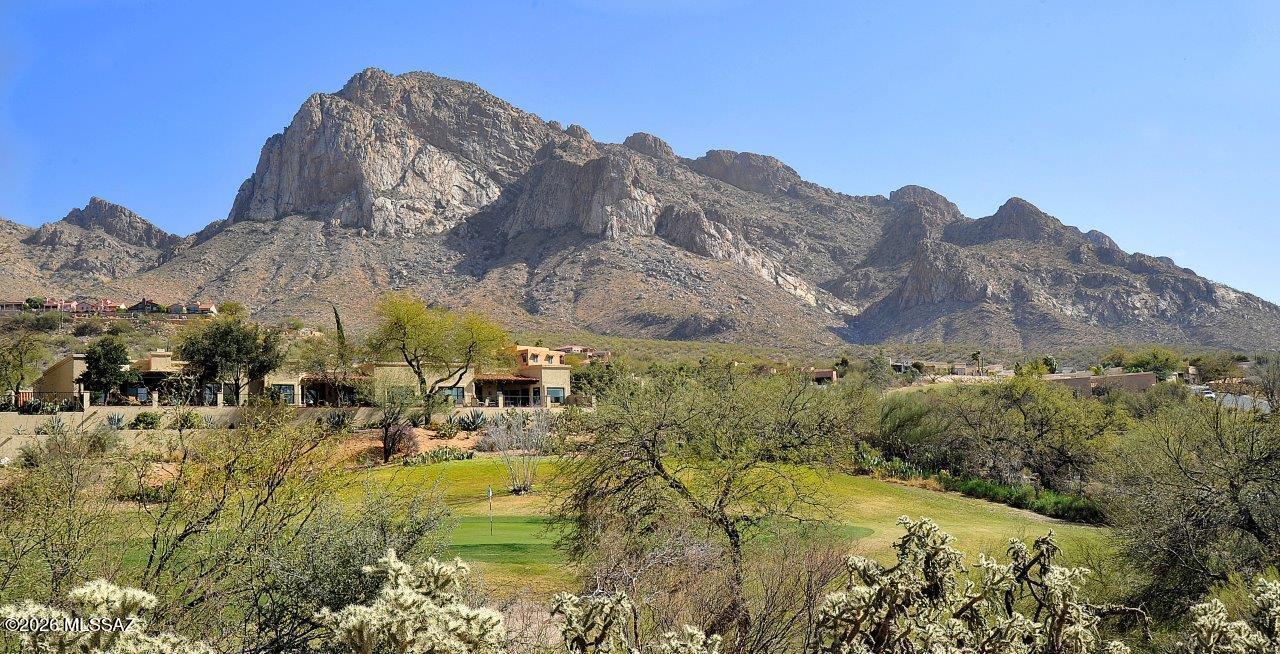 El Conquistador Resort Patio Homes (1-95) - Residential