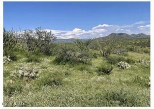 Northeast Rio Rico, off Camino Josefina, Buildable land, 0.73 acres, Mt. San Cayetano and Santa Rita Mountain views. Interested Buyers to confirm property and utilities.