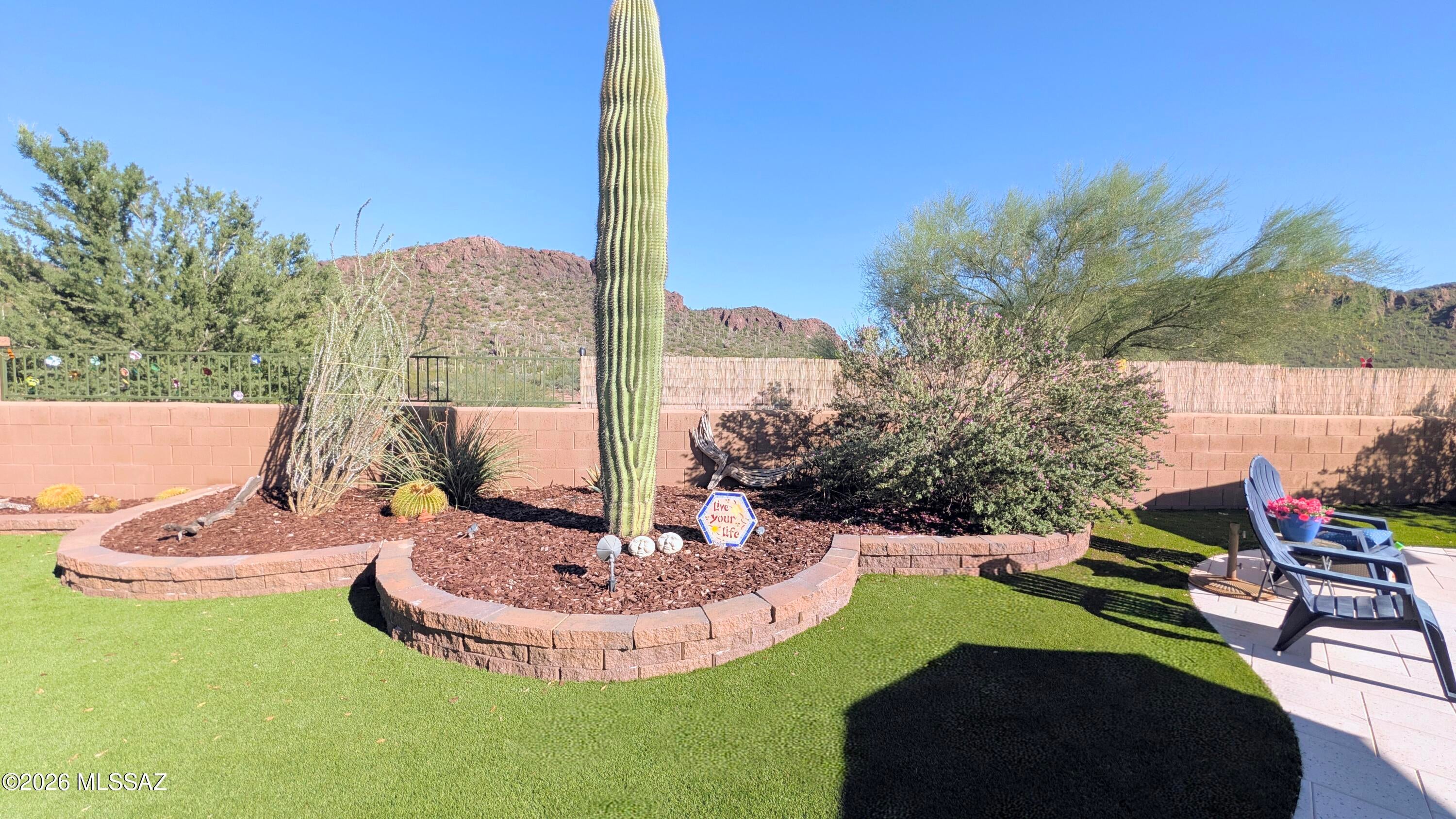 Saguaro Springs Block 8B (131-399) - Residential