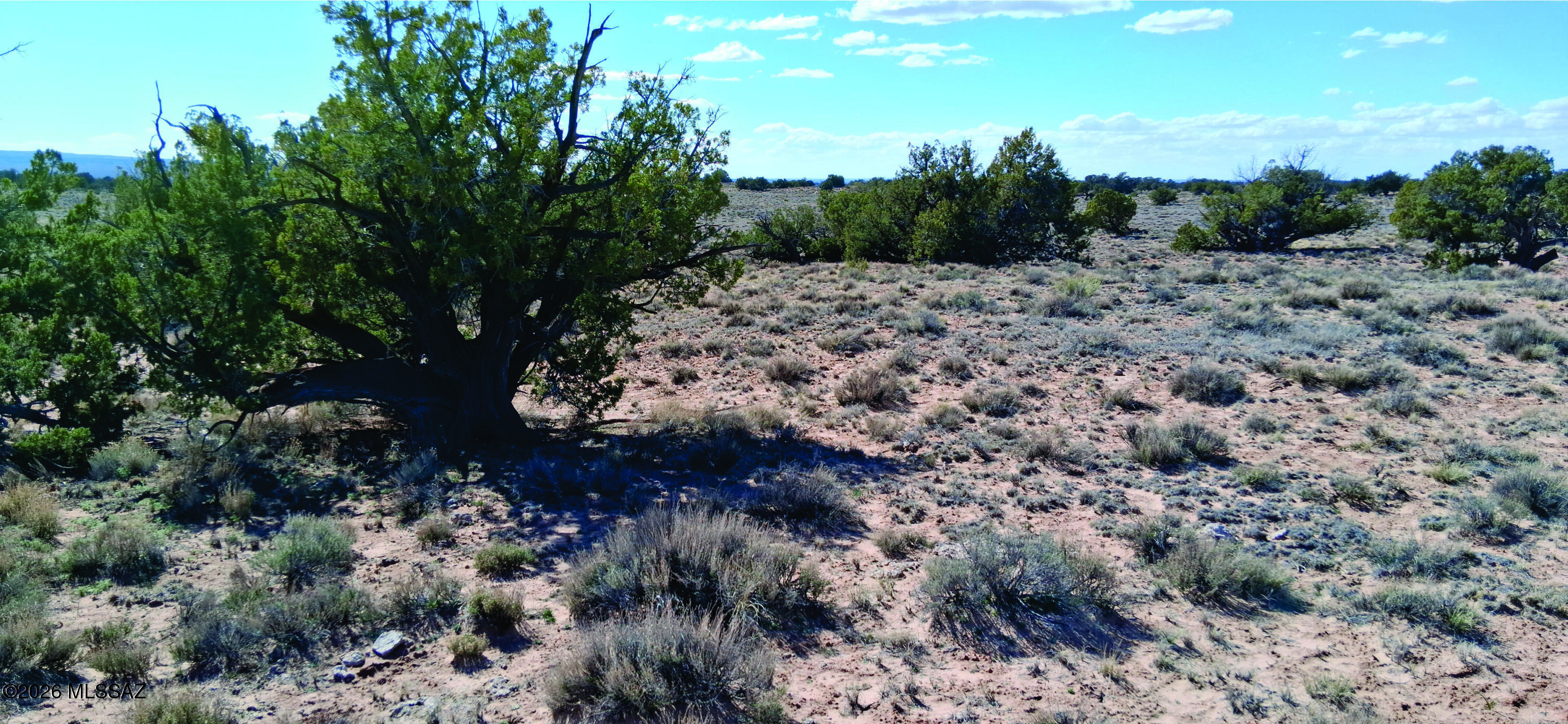 Beautiful 10.15 acres of peace and quiet. Situated in beautiful Apache County. Perfect to start your off-grid dream. Enjoy the Arizona Outback with plenty of room for all of your animals. Seller financing is available with $2900 Down plus Pioneer Title account setup and closing Costs, for 3 years at 9.9 percent interest. with a payment of $225.54 per month plus Pioneer Title Processing fee and impounded property tax.