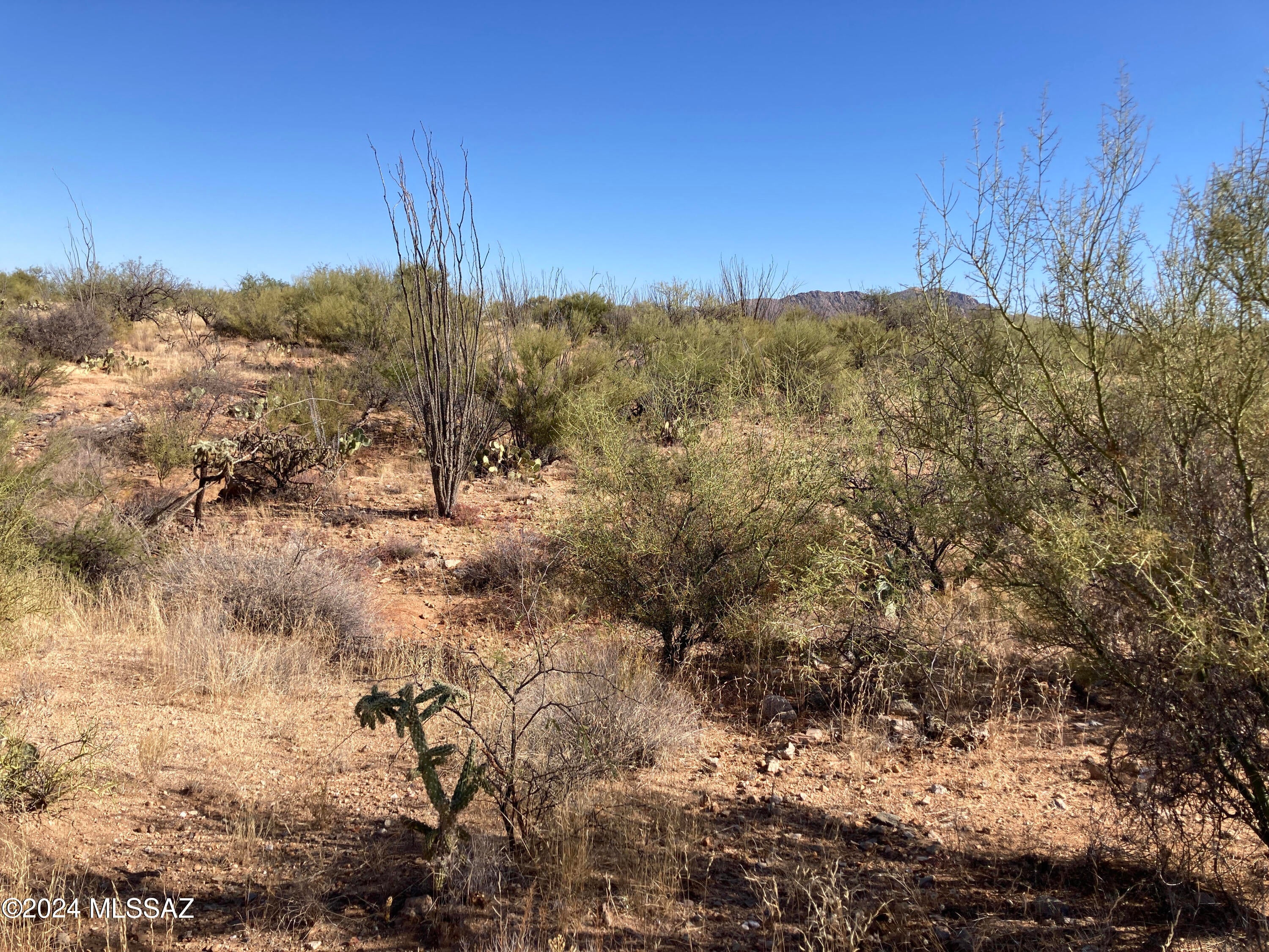 Diamond Bell Ranch - Tucson Unit 13 (1-216) - Land