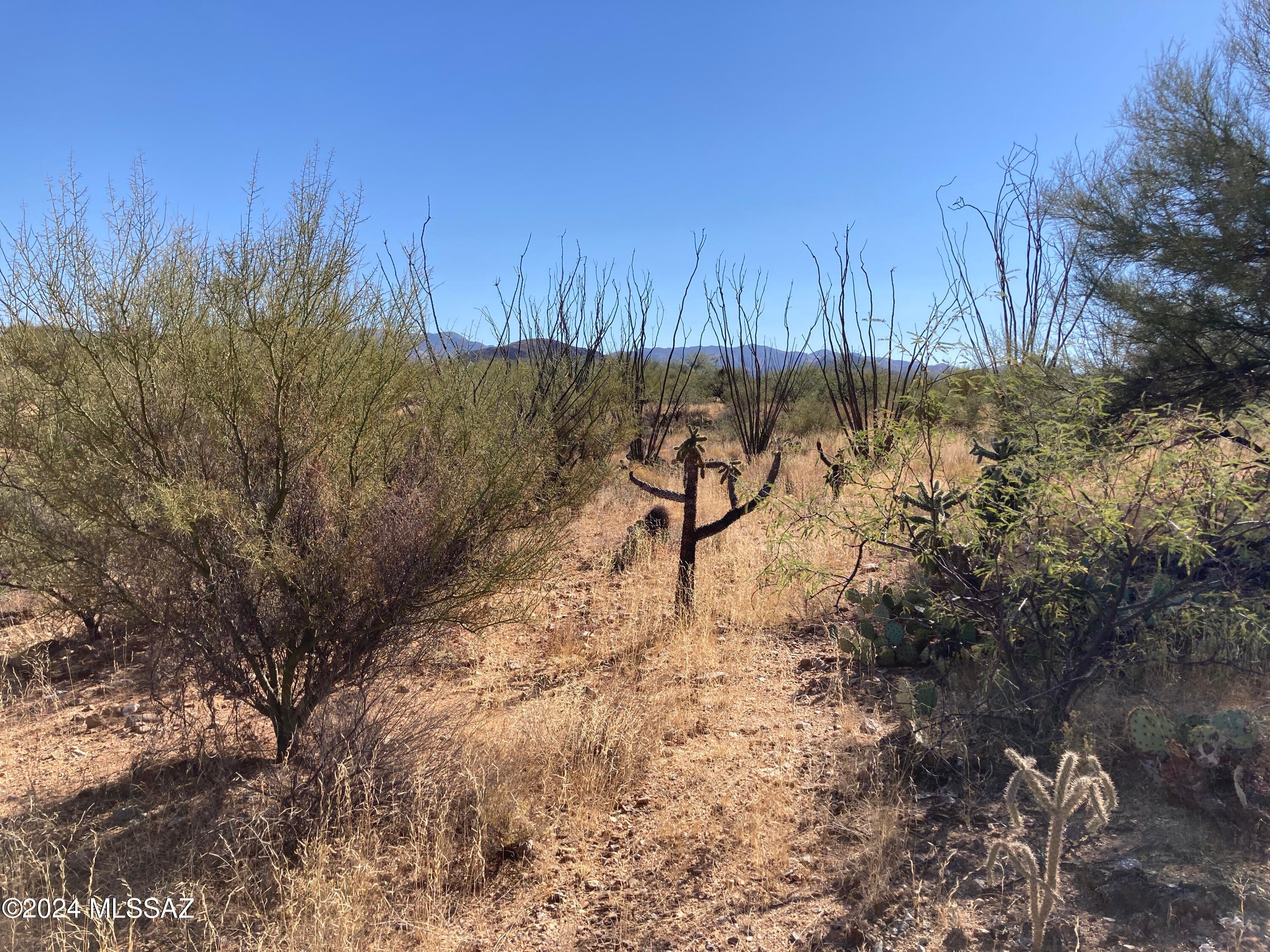 Natural cactus studded land in rural Diamond Bell Ranch - no utilities at present - live off the grid.  Undeveloped area just south of the more developed area of Diamond Bell