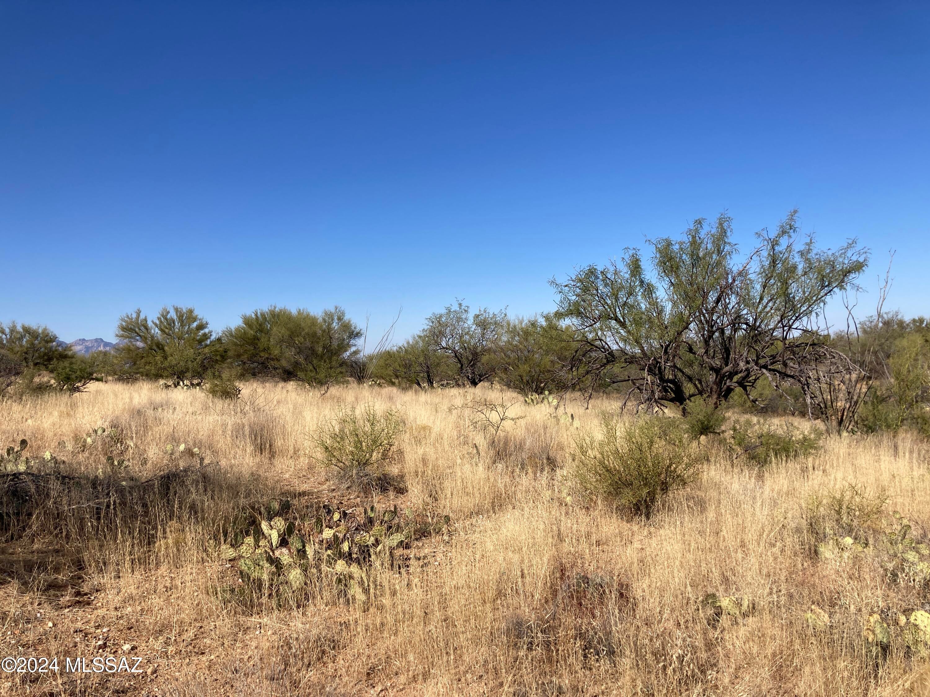 Diamond Bell Ranch - Tucson Unit 13 (1-216) - Land
