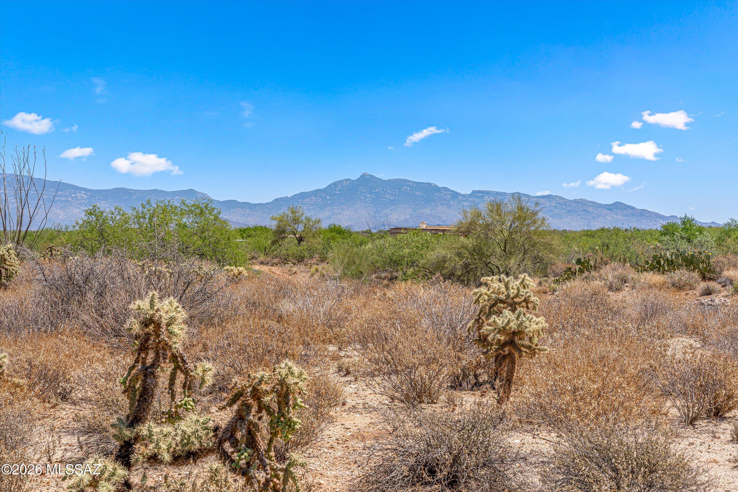 Sycamore Springs (1-64) - Land