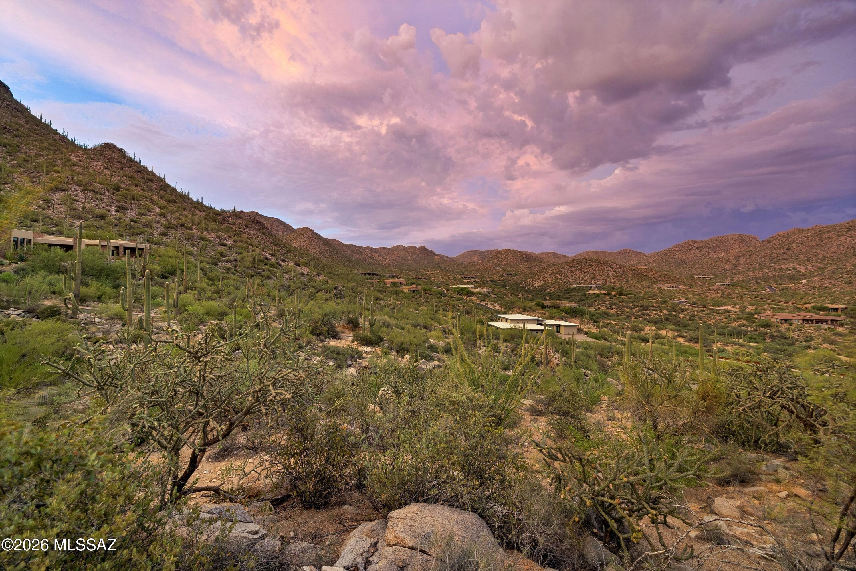 Canyon Pass III At Dove Mountain (111-181) - Land