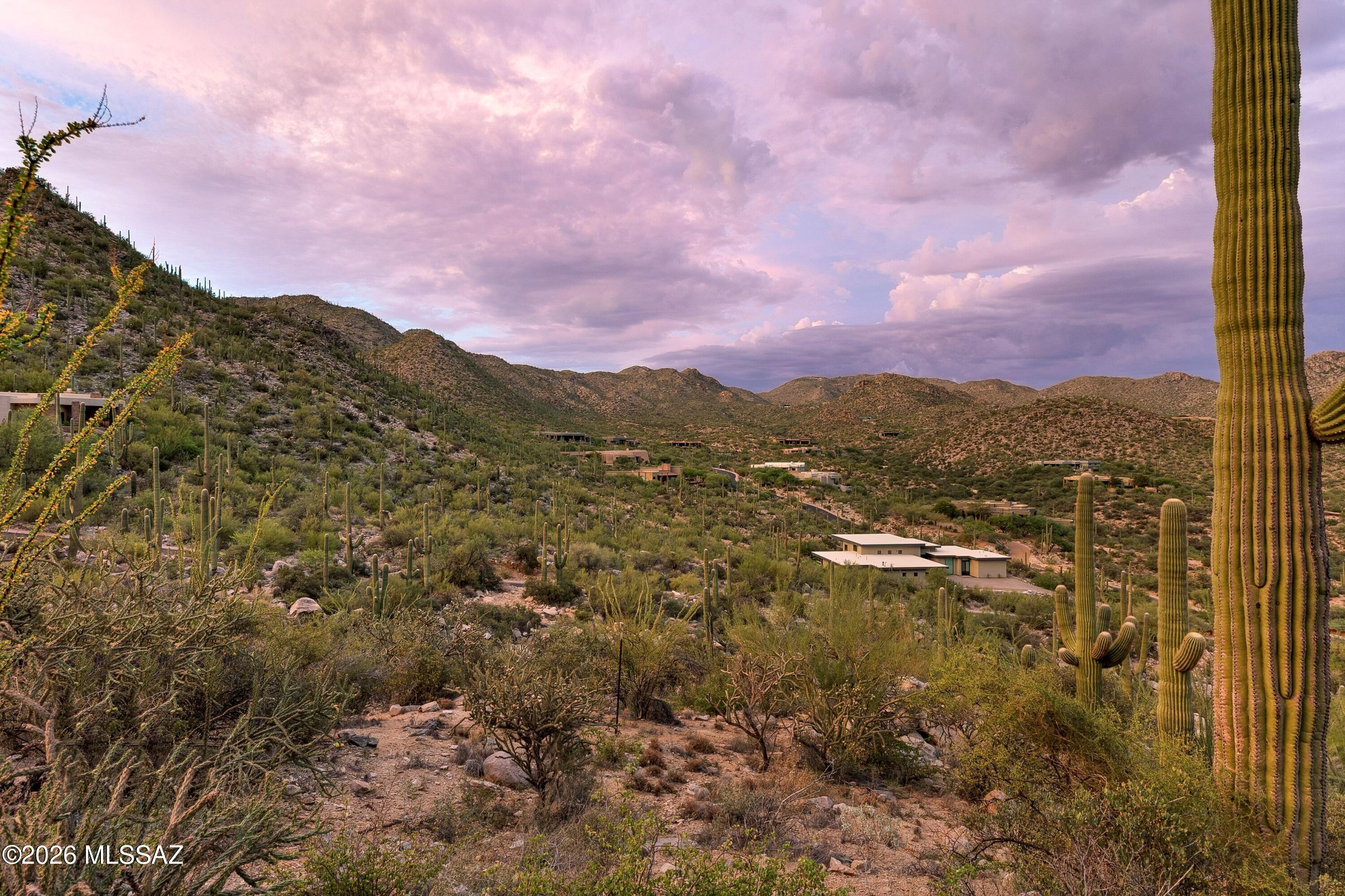 Canyon Pass III At Dove Mountain (111-181) - Land