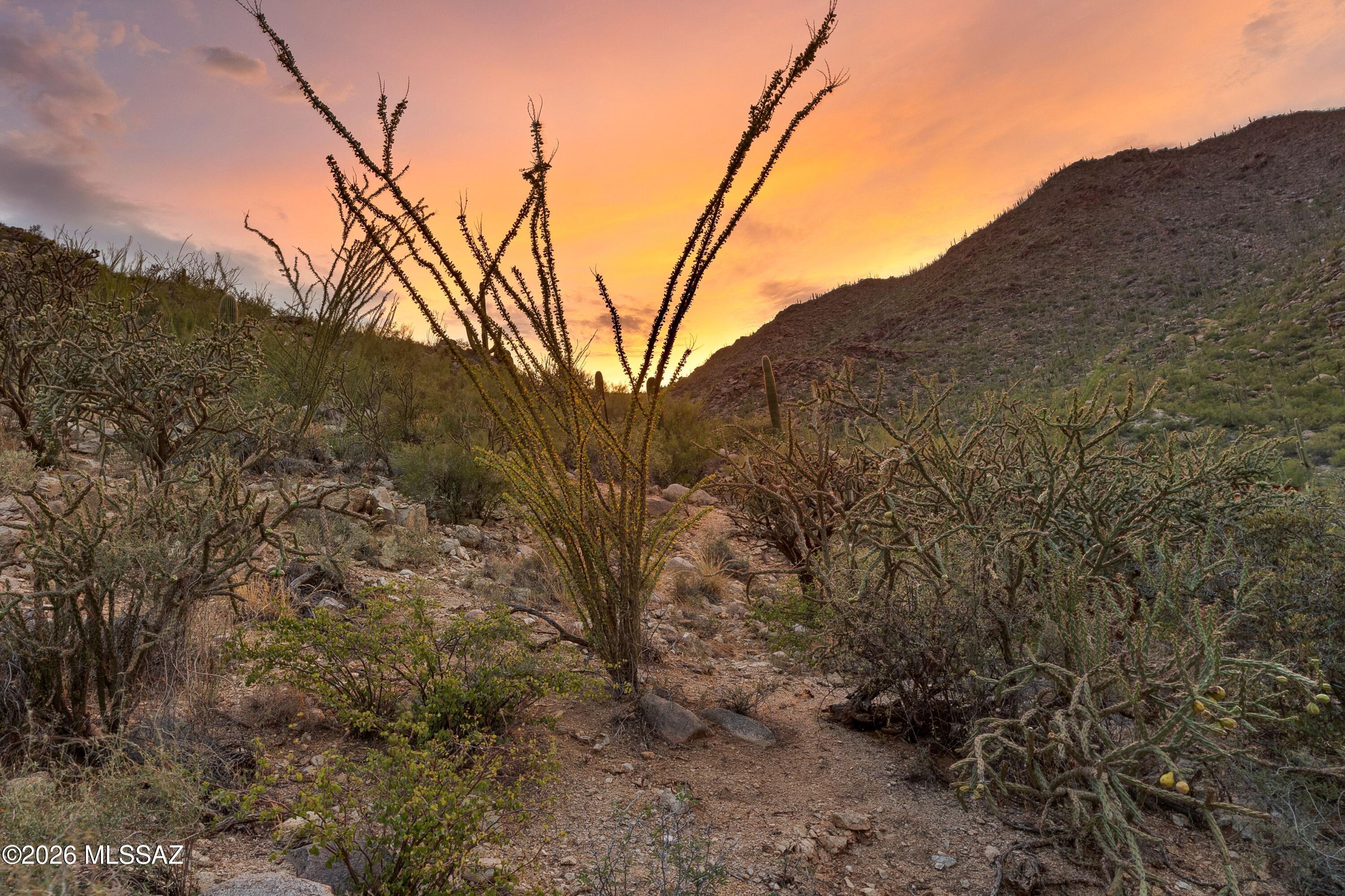 Canyon Pass III At Dove Mountain (111-181) - Land