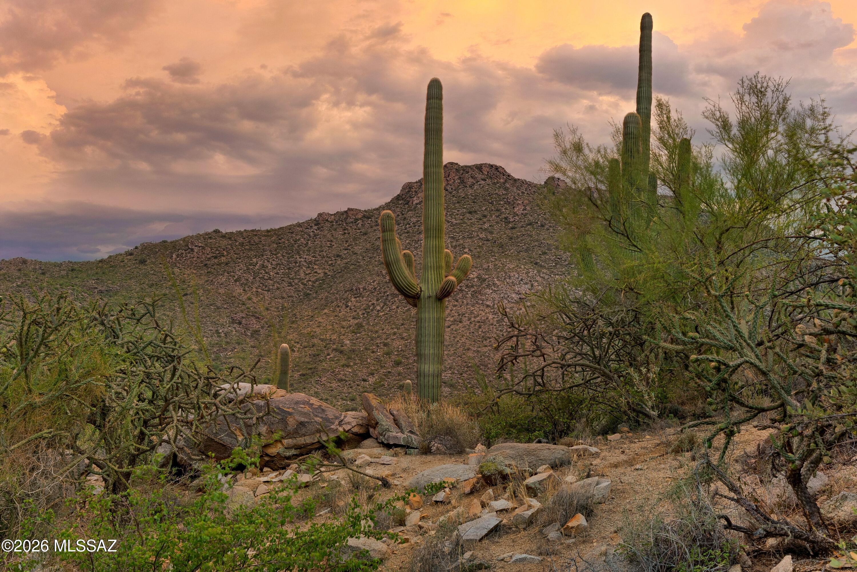 Canyon Pass III At Dove Mountain (111-181) - Land