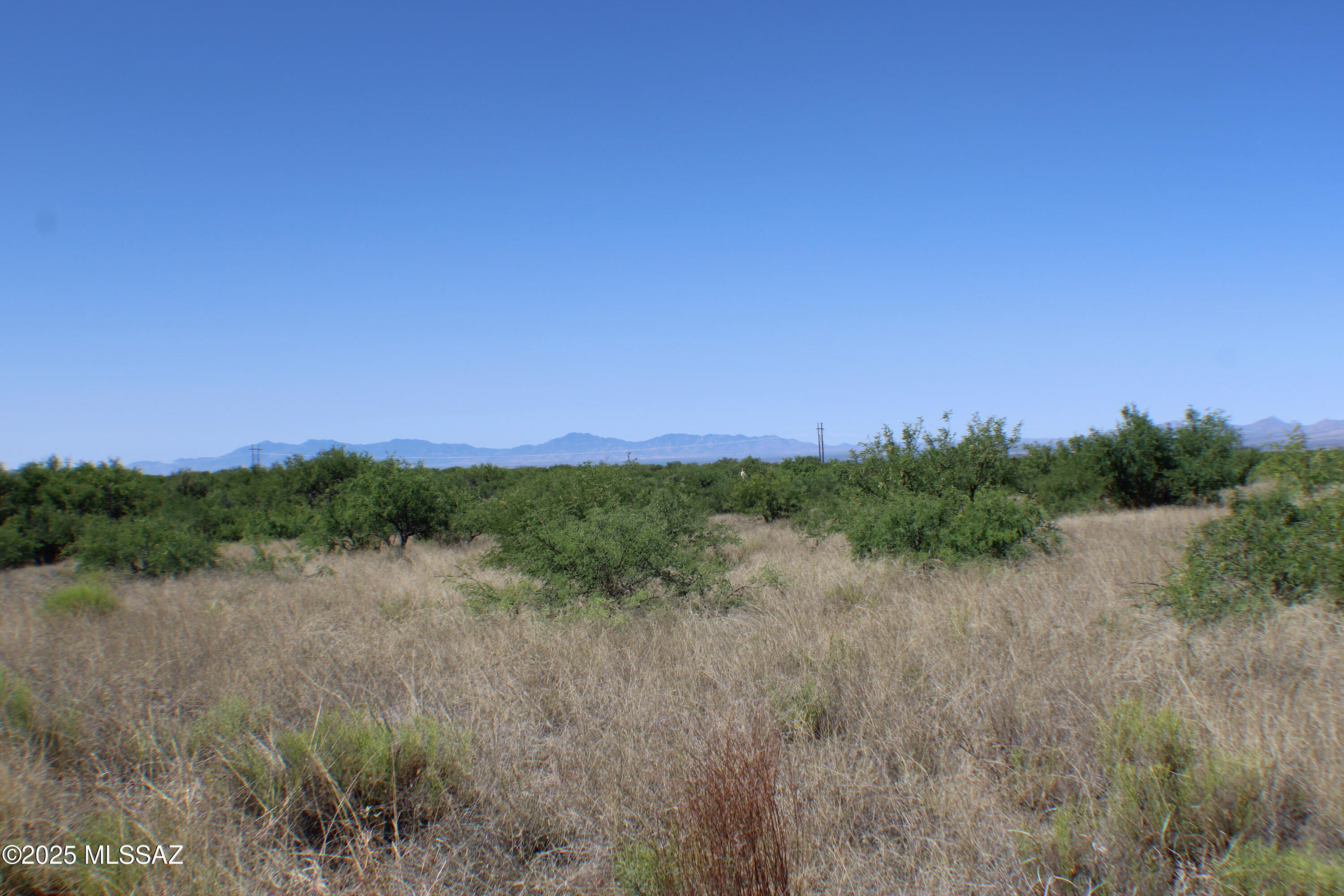 Dragoon Mountain Ranch - Land