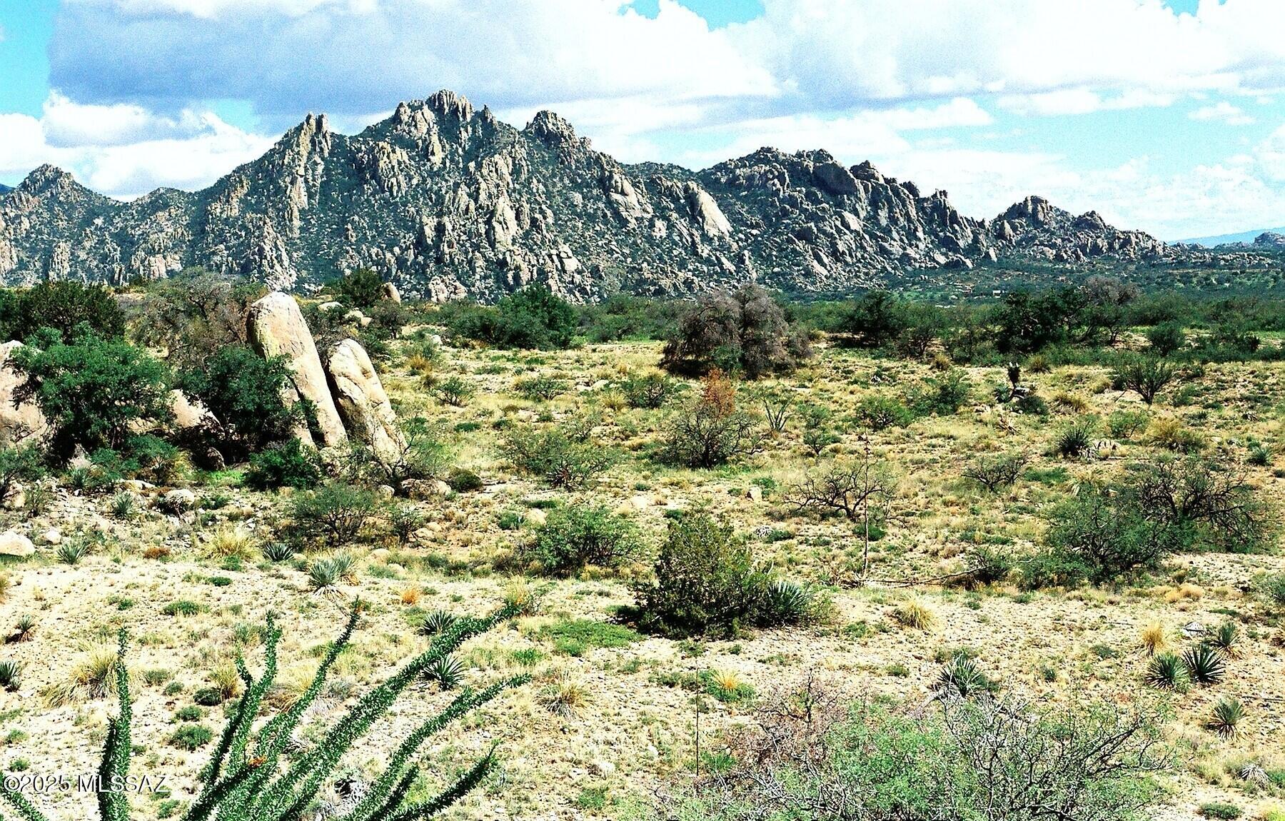 Dragoon Mountain Ranch - Land