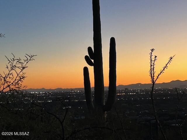 Quail Canyon (1-57) - Land