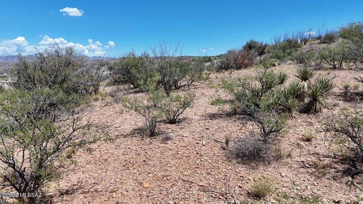 Rio Rico Ranchettes 14 - Land