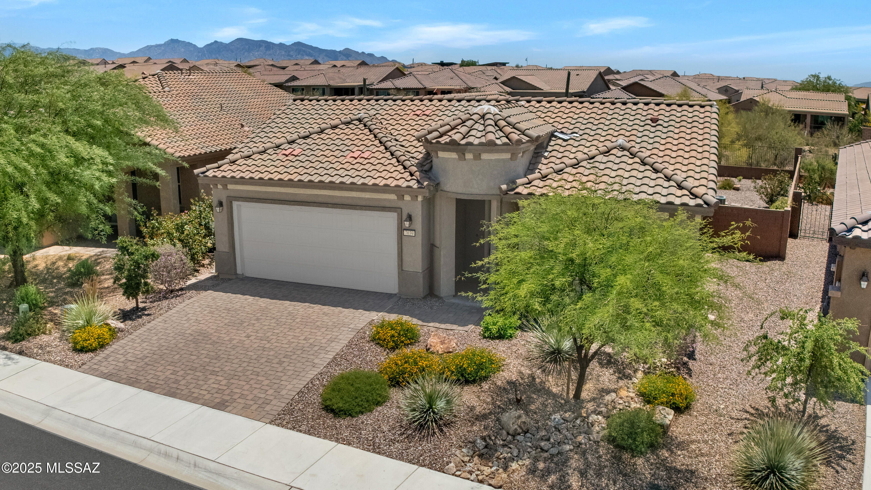Del Webb At Dove Mountain VI - Residential