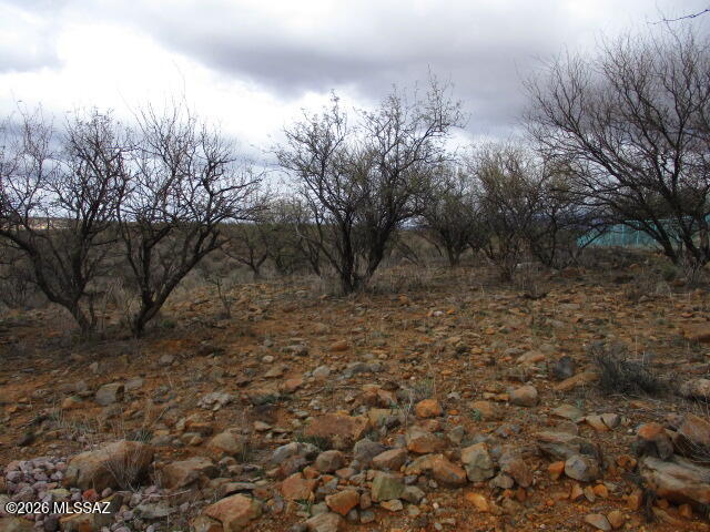 Discover .83 acres in Rio Rico Ranchettes with peaceful mountain views and wide-open desert surroundings. This north/south-facing lot offers flexible R-2 zoning and easy access from a quiet dirt road. Electric, phone, and water appear to be at the lot line; septic needed. A great opportunity to build a getaway, hold as an investment, or create your own desert retreat. No HOA and low annual taxes.