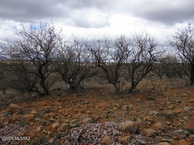 Rio Rico Ranchettes - Land