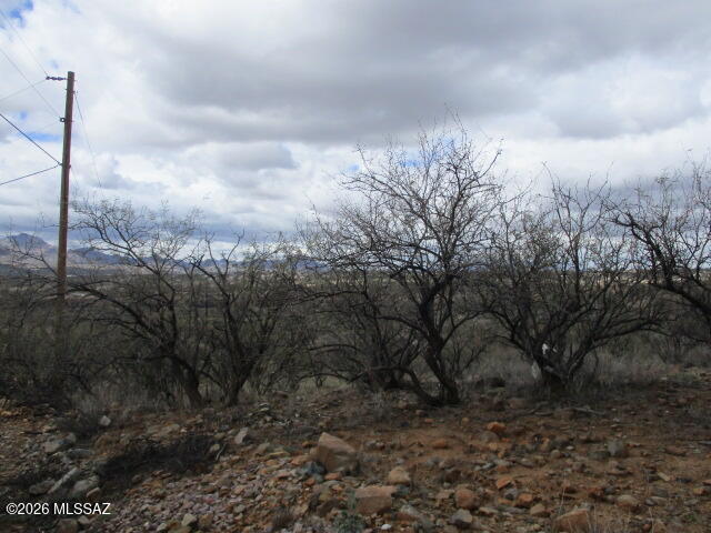 Rio Rico Ranchettes - Land