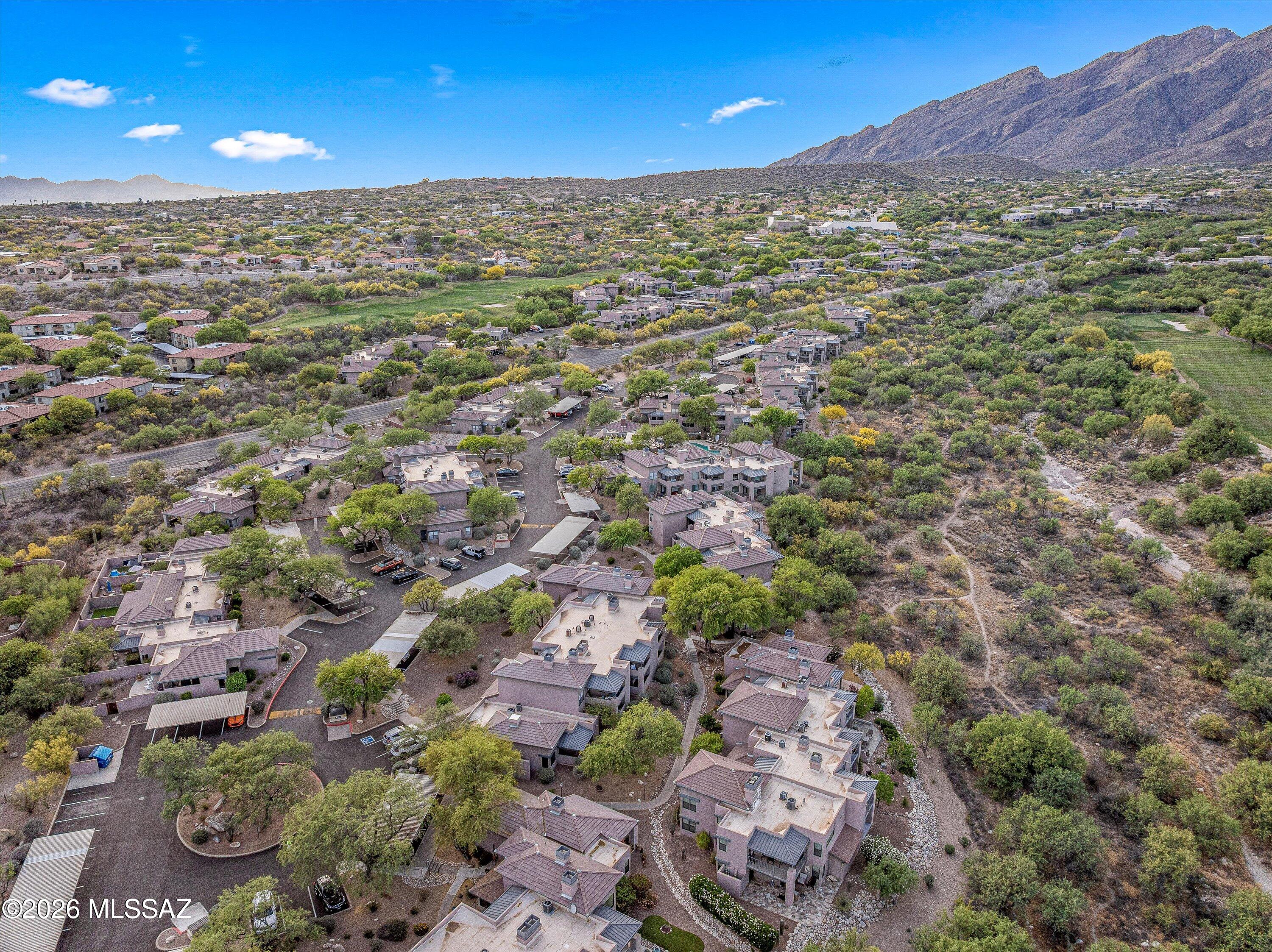 Greens at Ventana Canyon - Residential