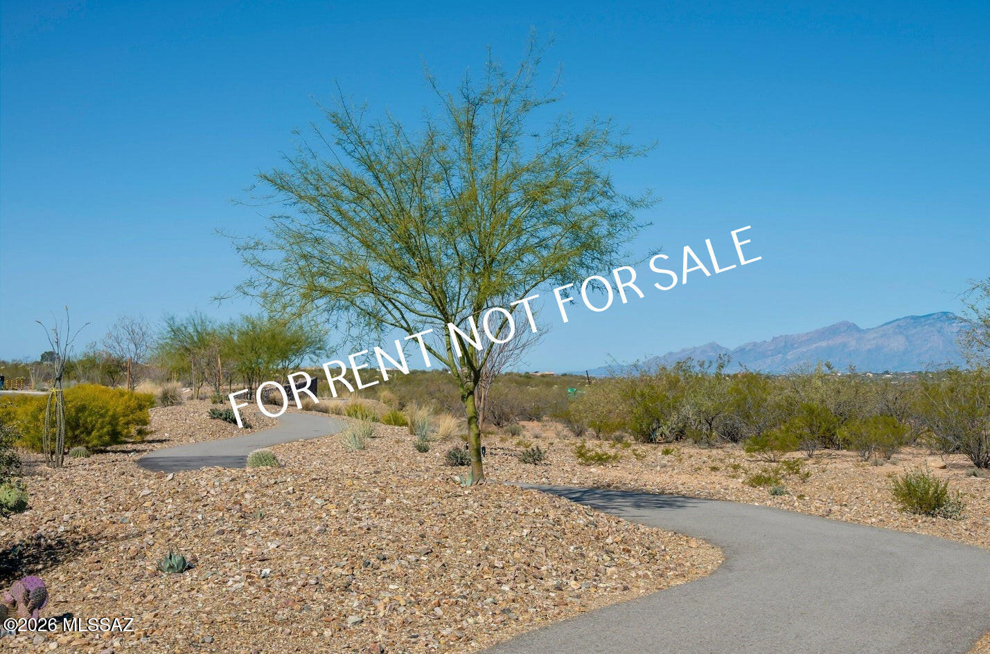 N/A - Residential Lease