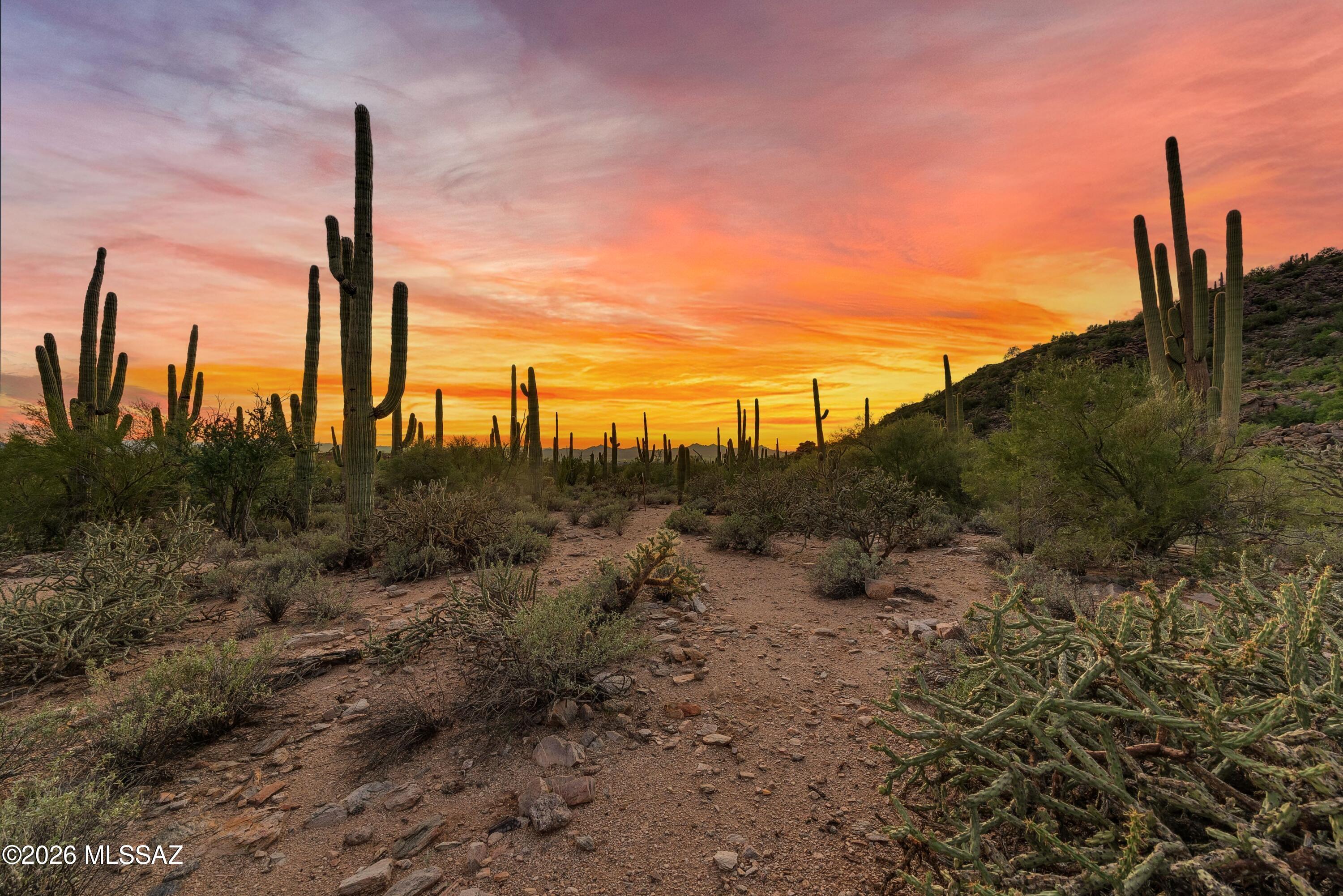 Dove Mountain Resort (1-153) - Land