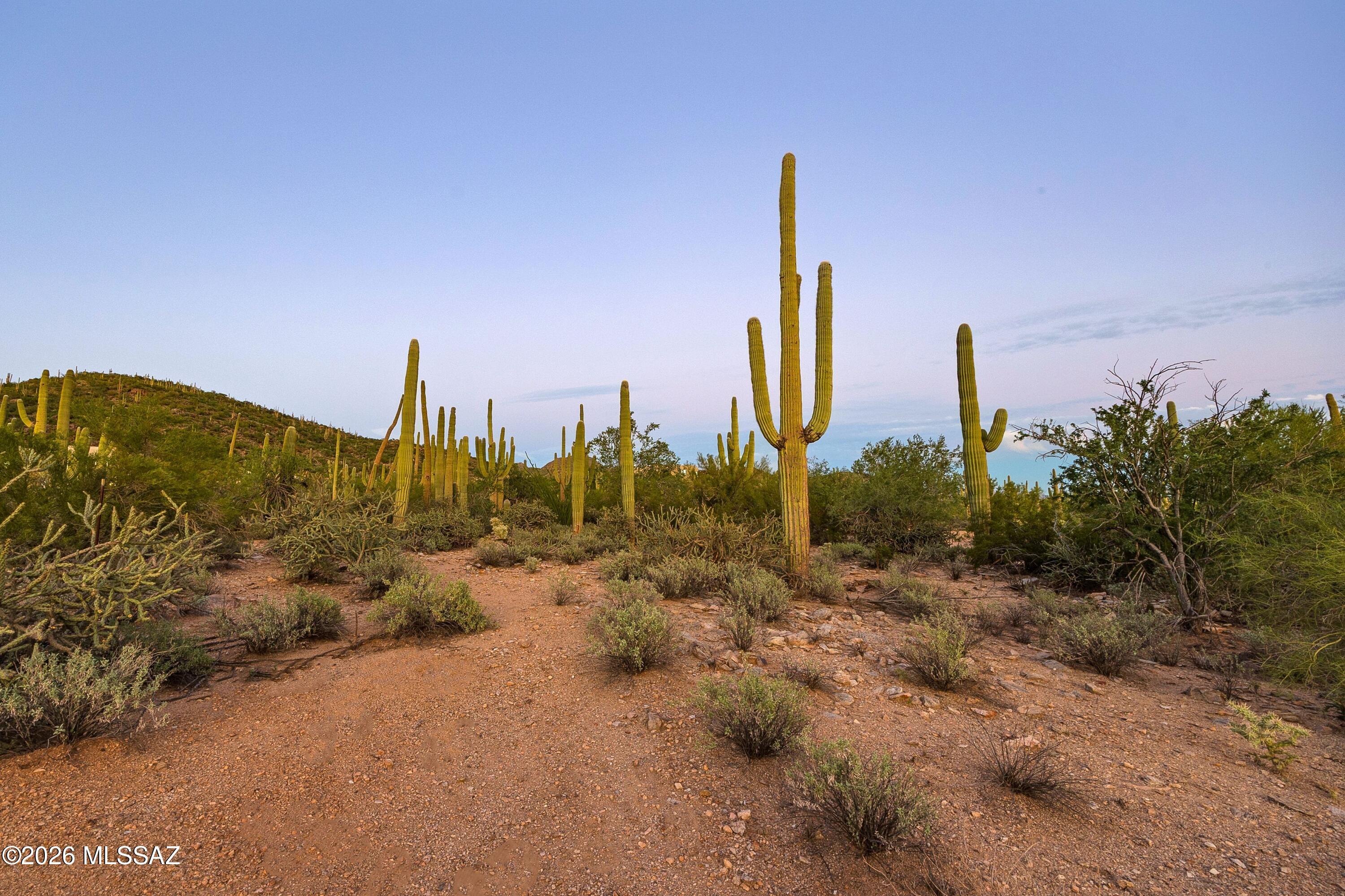Dove Mountain Resort (1-153) - Land