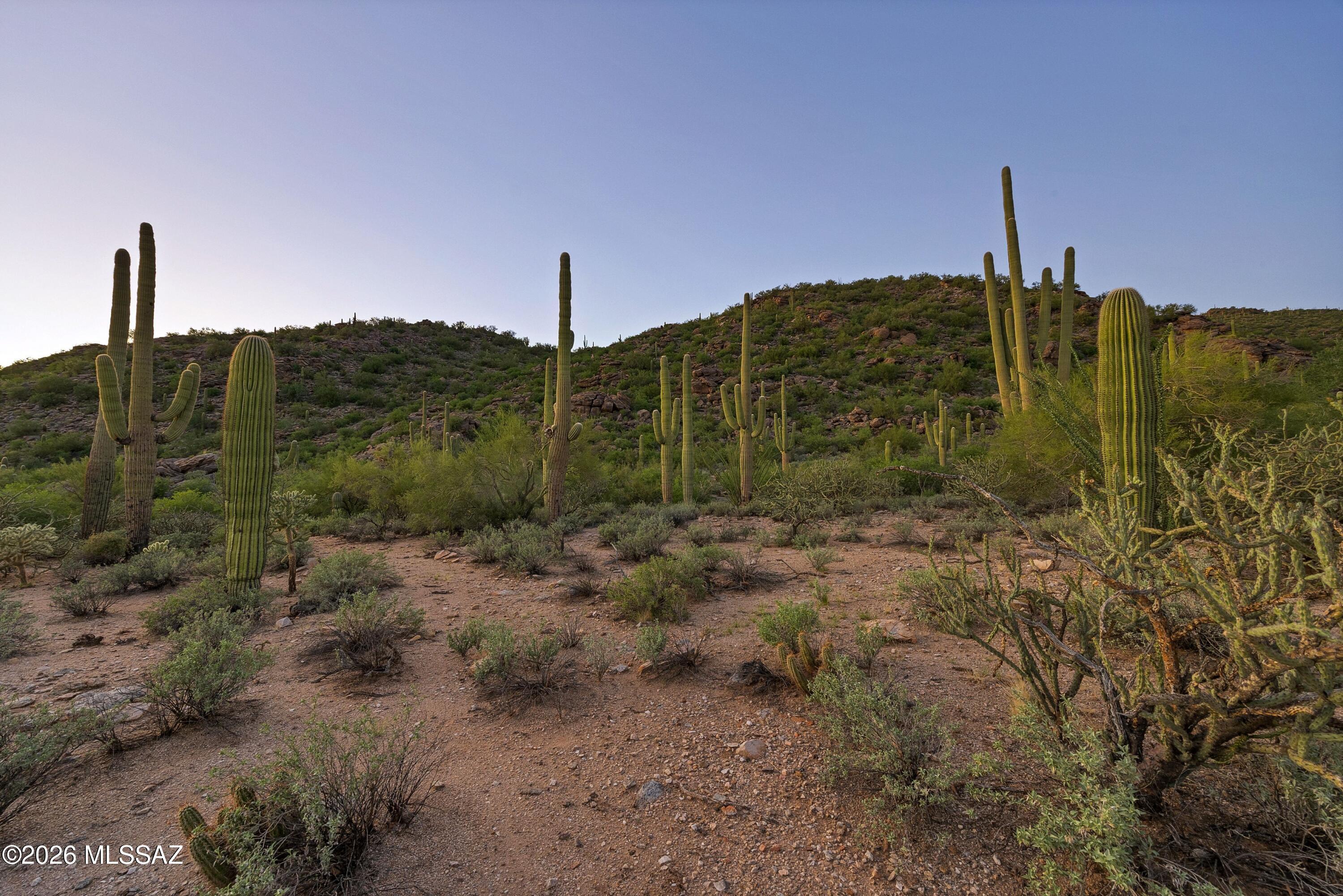 Dove Mountain Resort (1-153) - Land