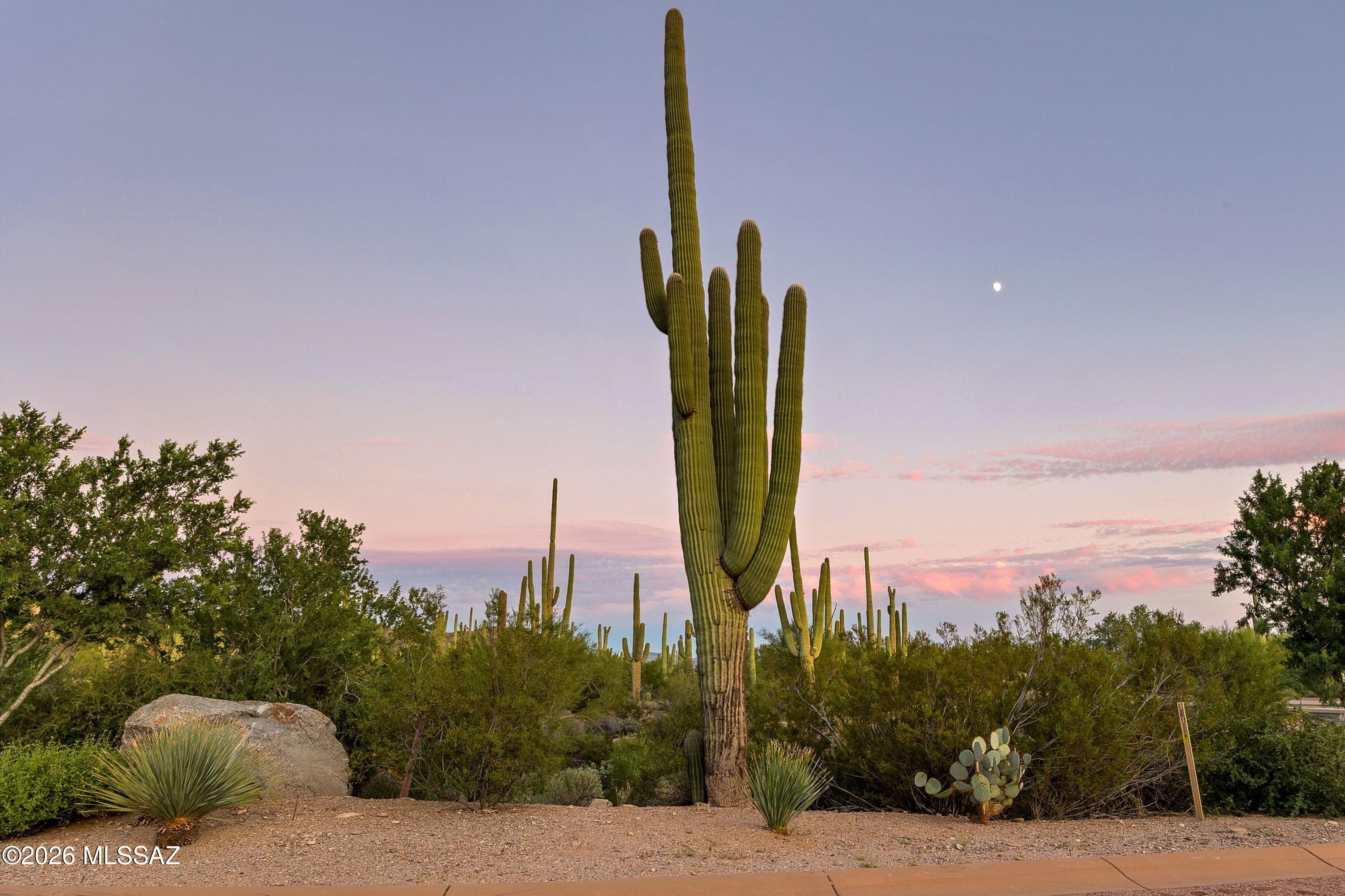 Dove Mountain Resort (1-153) - Land