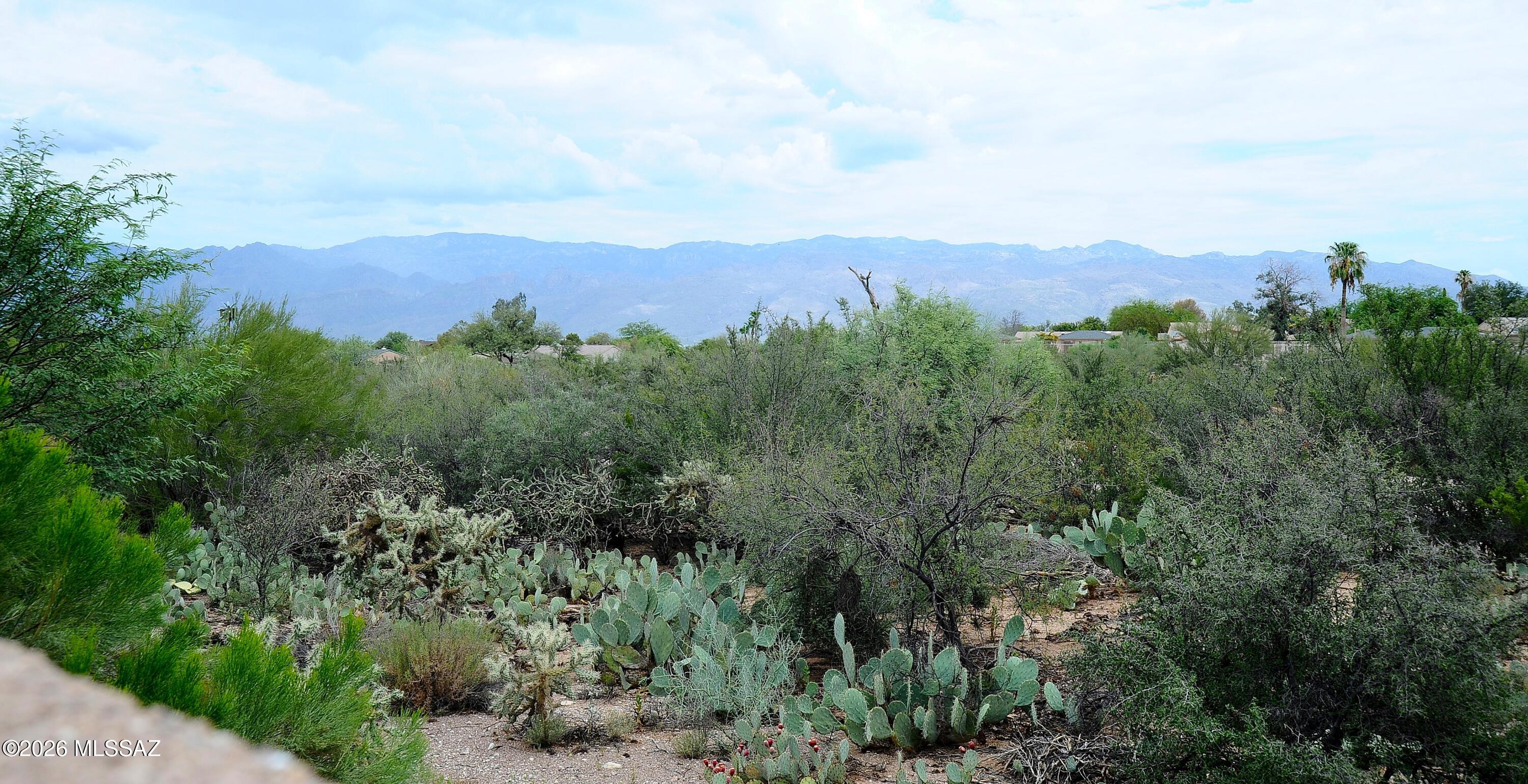 Mesquite Trails (1-88) - Residential
