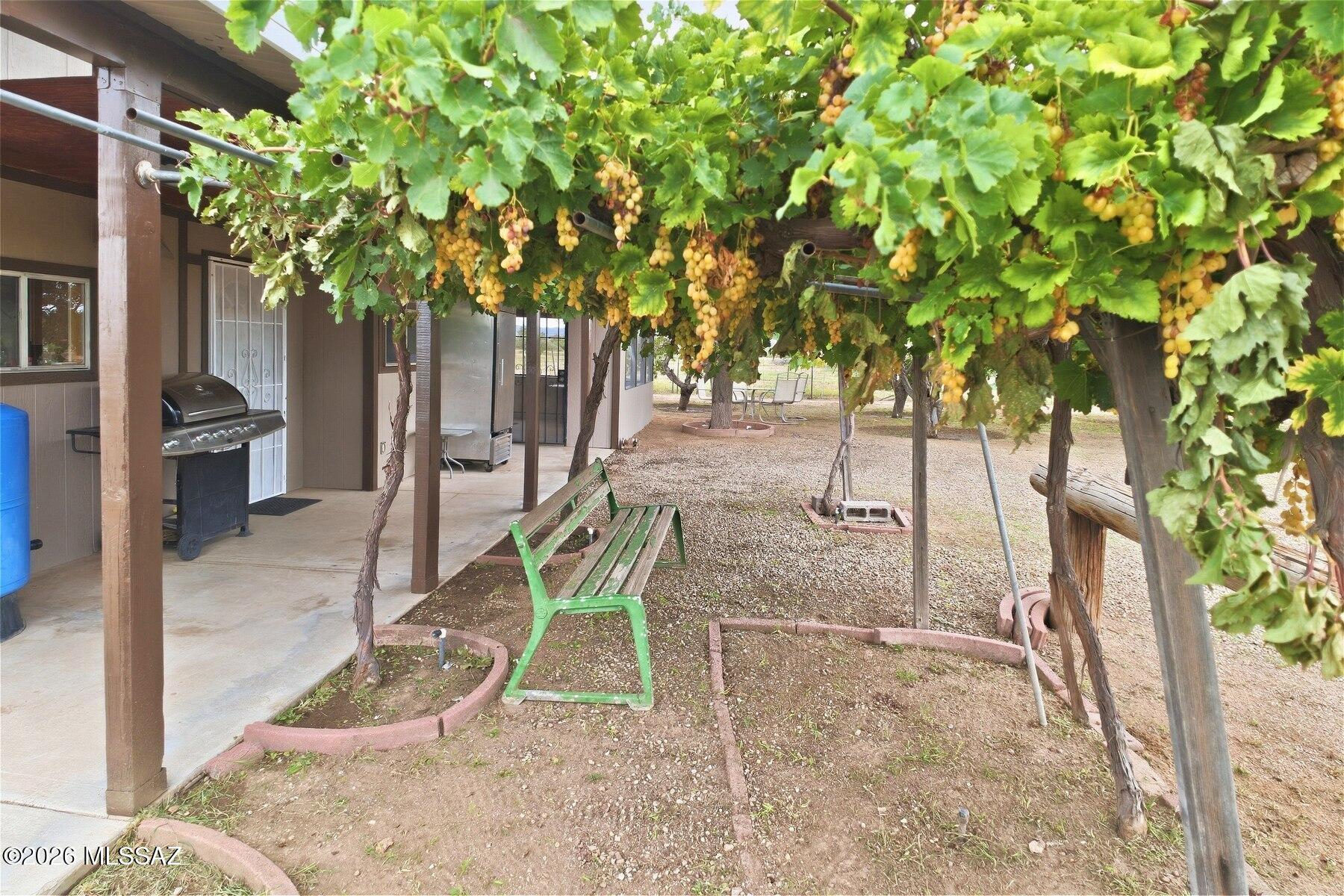 Wonderful country property boasting of wine grapes, fruit and nut trees. Property has a hearty private well, wine cellar, wine equipment, large steel equipment cover, fully fenced and on a corner acreage, with acreage to still build on. Property is only two miles from Apple Annies Farm.