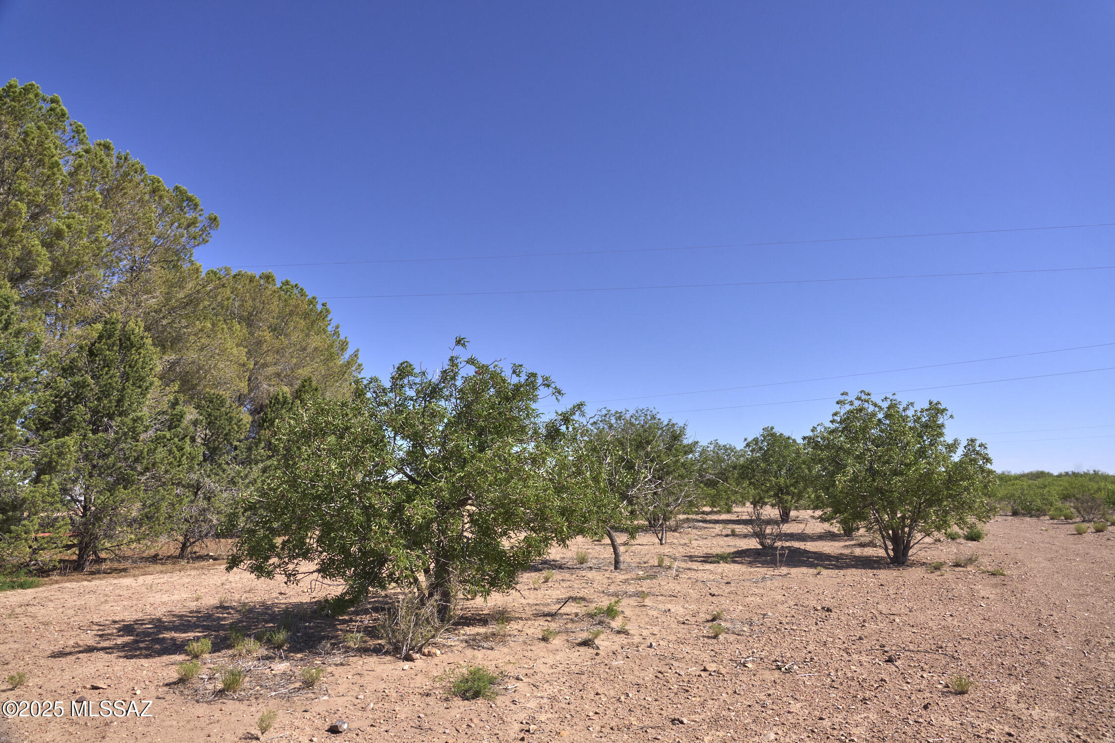 Out Of Pima County - Residential