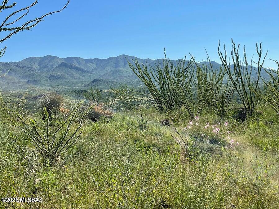 Salero Ranch - Land