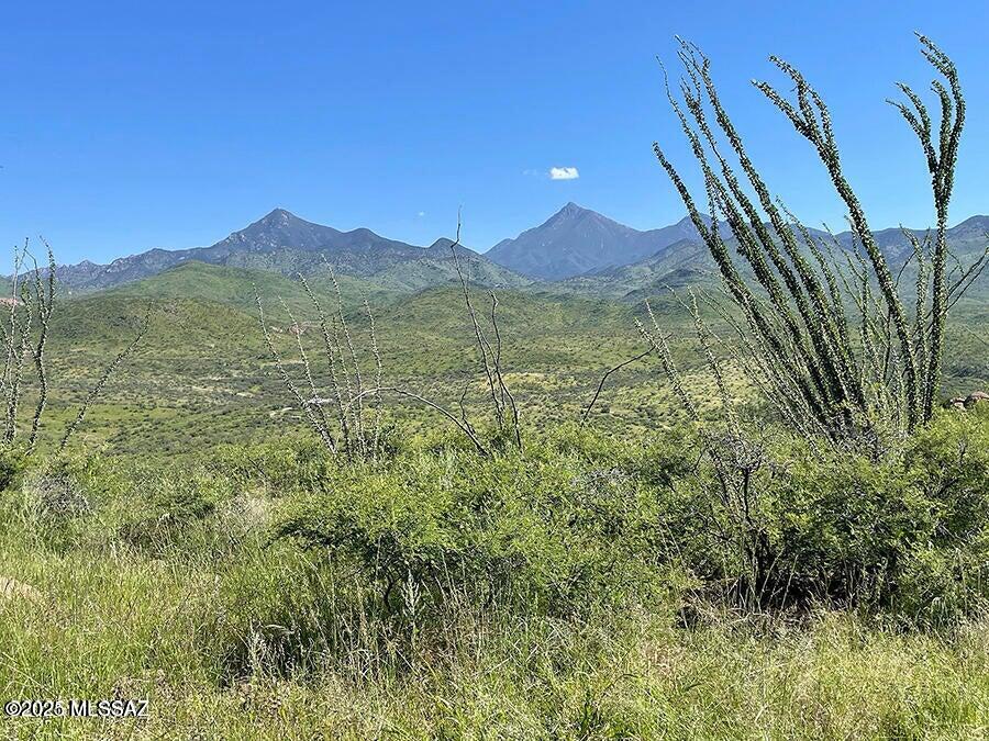 Extraordinary location in Salero Ranch, gated residential-ranch community where you can take in nature and relax .  The unique terrain of this 36.1 acre property includes variety- from meadows to higher ground to ridge tops. The easy access and location are significant bonus qualities, plus truly remarkable surrounding Southern Arizona mountain views, sunrise and sunsets.