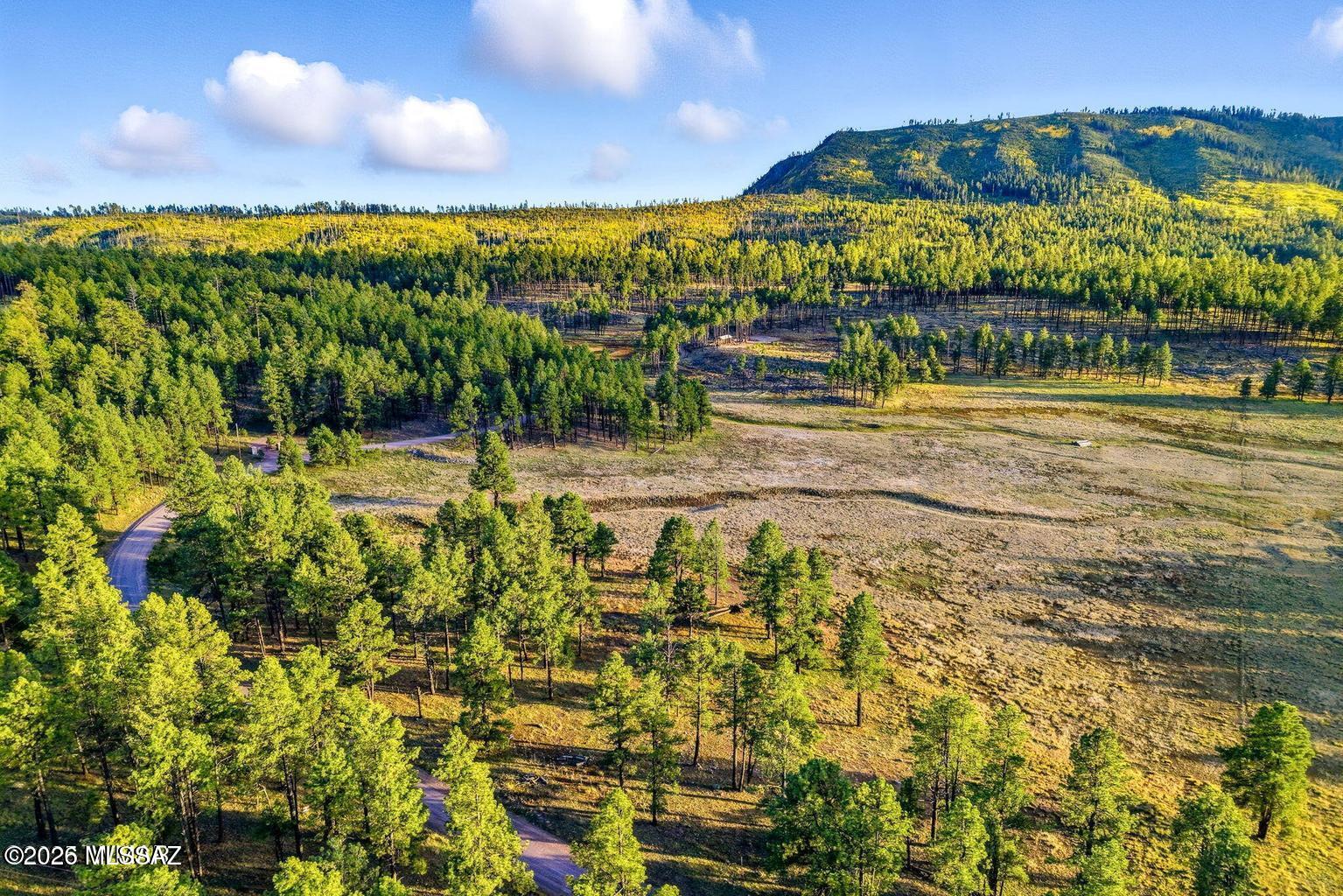 * WORLD-CLASS HUNTING AND FISHING** RARE 17.25 ACRES LOCATED APX 12 MILES SOUTH OF ALPINE OFF FOREST ROAD 26. FANTASTIC SETTING NESTLED DEEP IN NATIONAL FOREST, YET EASILY ACCESSIBLE. HOMES ONLY AND UPGRADED RESTRICTIONS TO PROTECT YOUR INVESTMENT. THIS CAN BE YOUR PIECE OF PARADISE, AND AN IDEAL FAMILY RETREAT. SERENE SETTING WITH SPACE TO BREATH AND BEAUTIFUL VIEWS. ELECTRIC AND PHONE AVAILABLE. HAND DUG SPRING FED WELL. NEW BUYER CAN SPLIT 5 AC MINIMUM. RV OK ON PORTION ACROSS THE ROAD. DISCOVER, LIVE, LOVE OUR PARADISE!