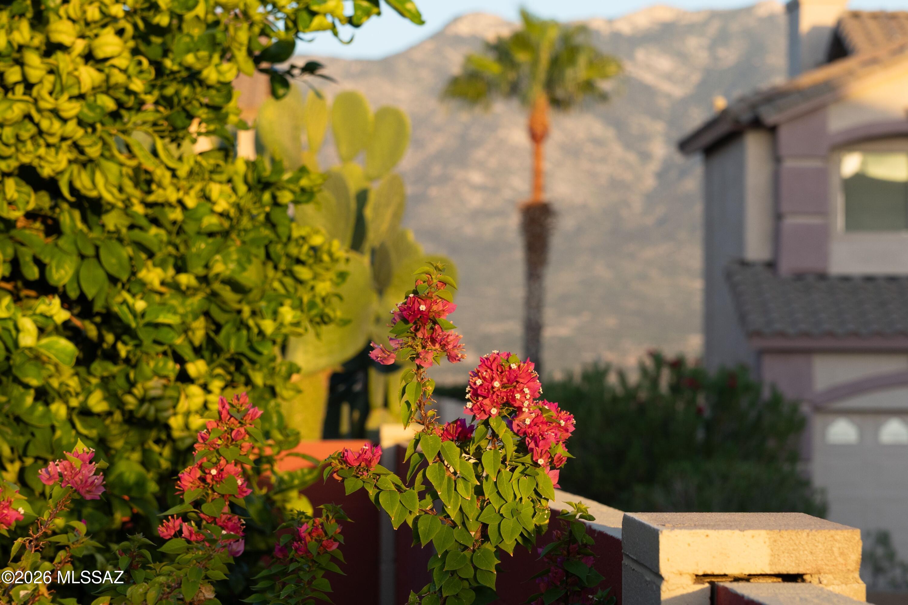 Eagle Crest Ranch - Residential