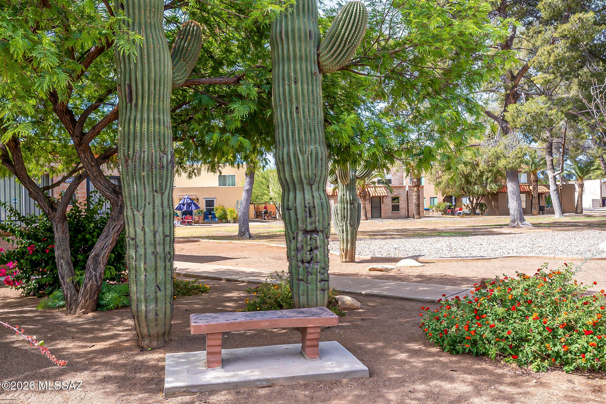 Monte Catalina Estates (1-10) - Residential