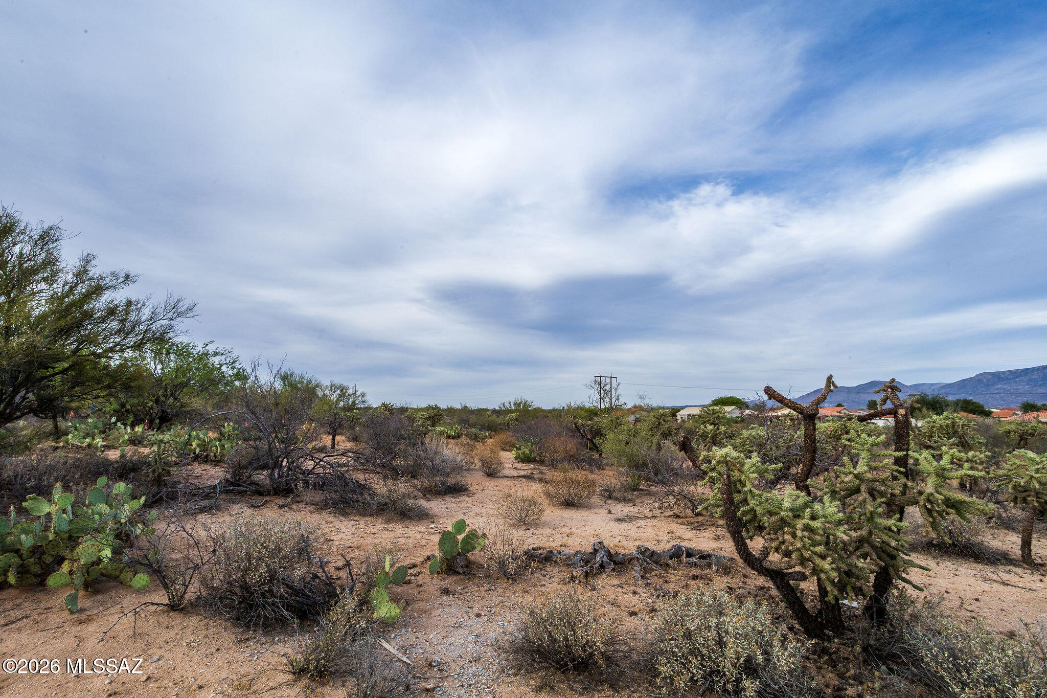 Honey Bee Ridge(The Estates At) - Land