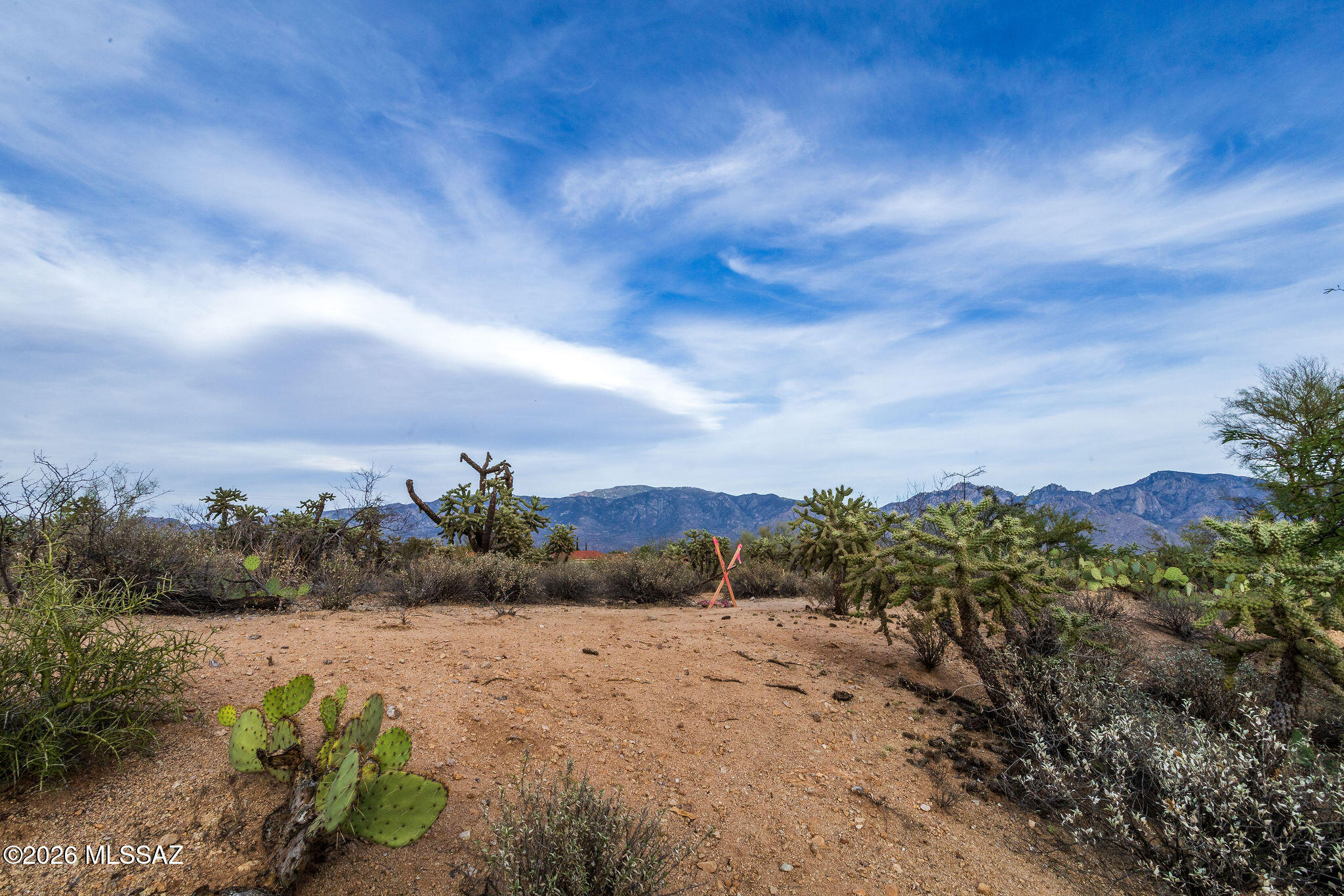 Honey Bee Ridge(The Estates At) - Land