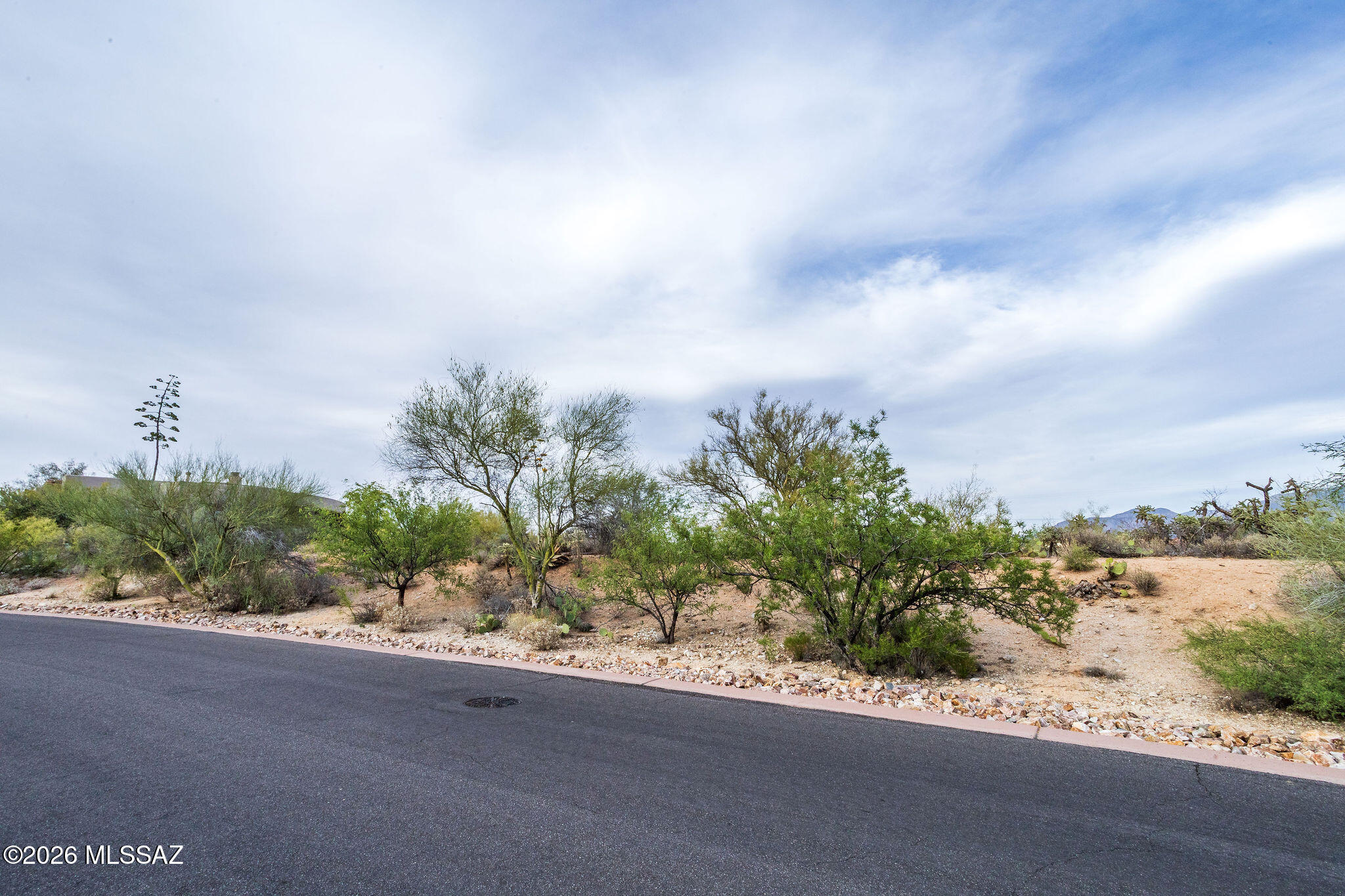 Honey Bee Ridge(The Estates At) - Land