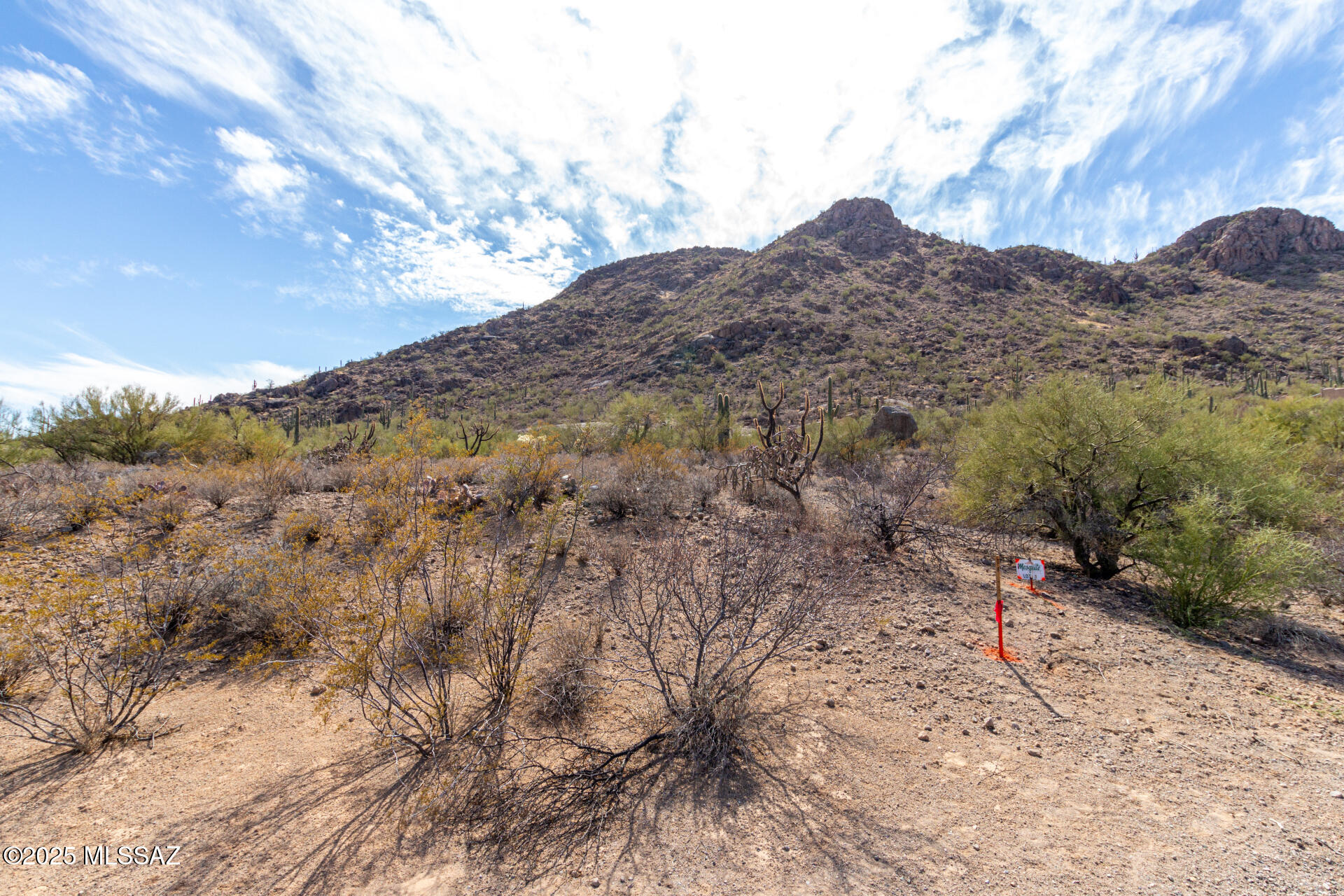 Mesquite Hills (1-21) - Land